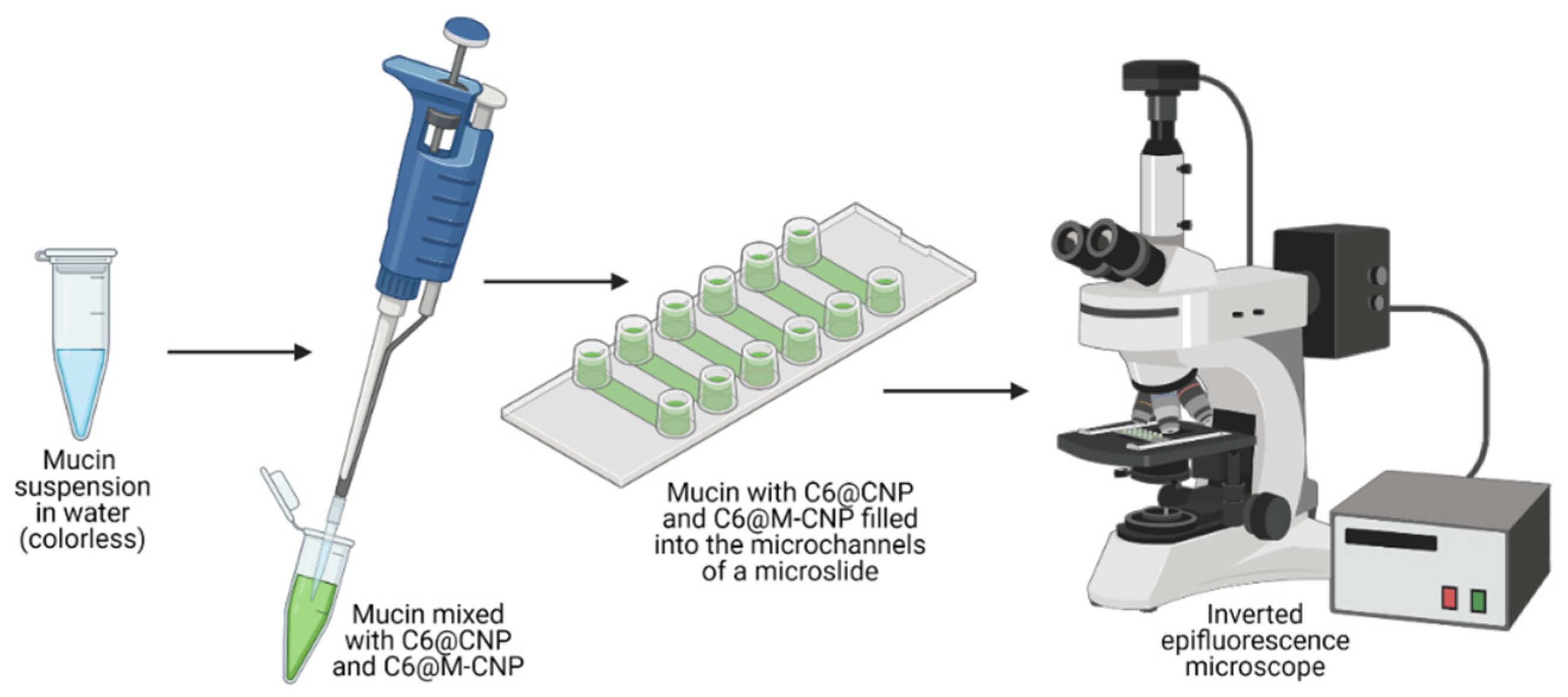 Pharmaceutics 14 00830 g002