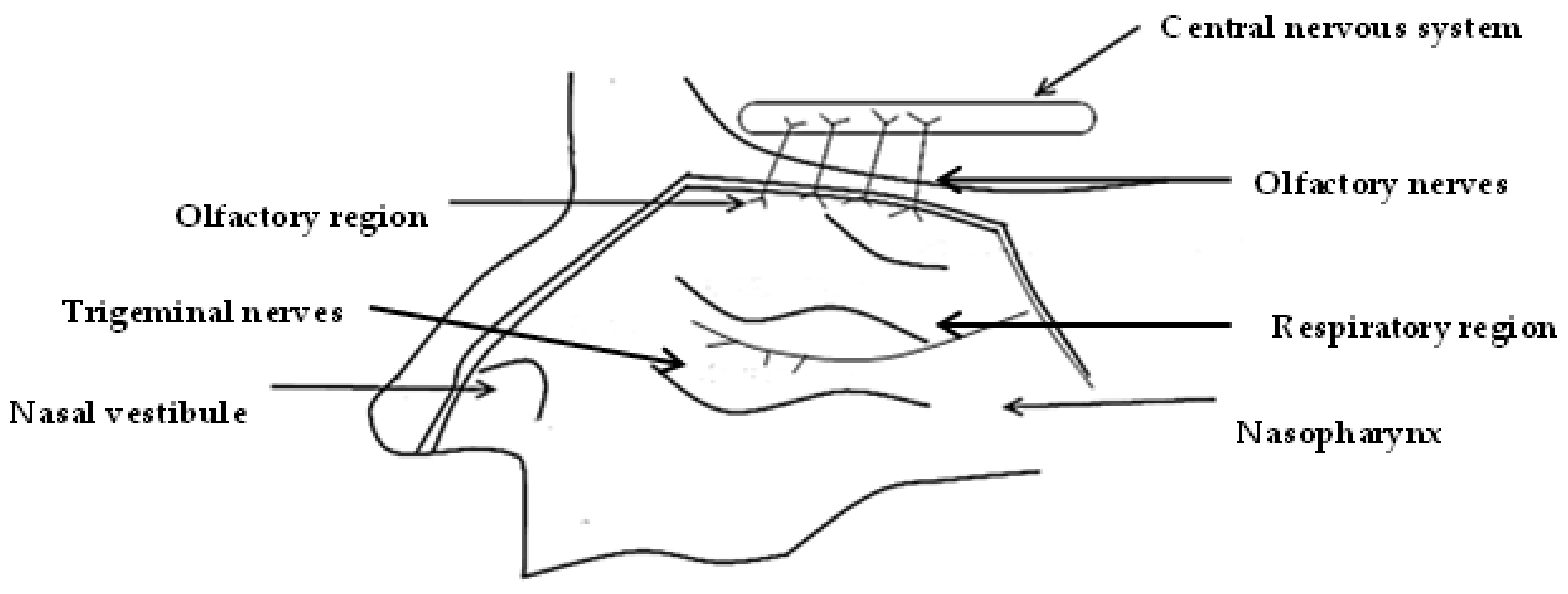 Pharmaceutics 14 00836 g002 Pharmaceutics 14 00836 g002