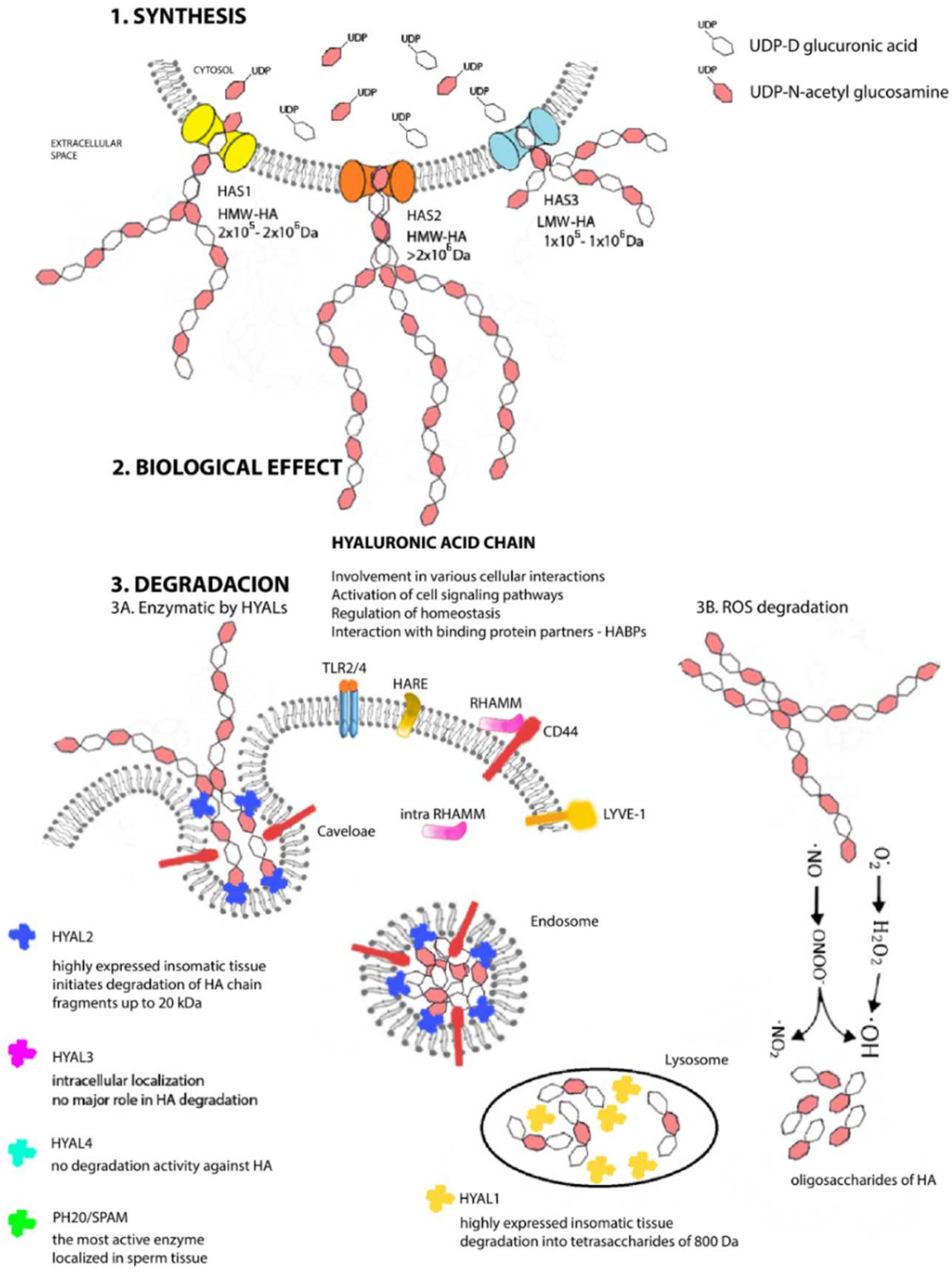 Pharmaceutics 14 00838 g002 Pharmaceutics 14 00838 g002