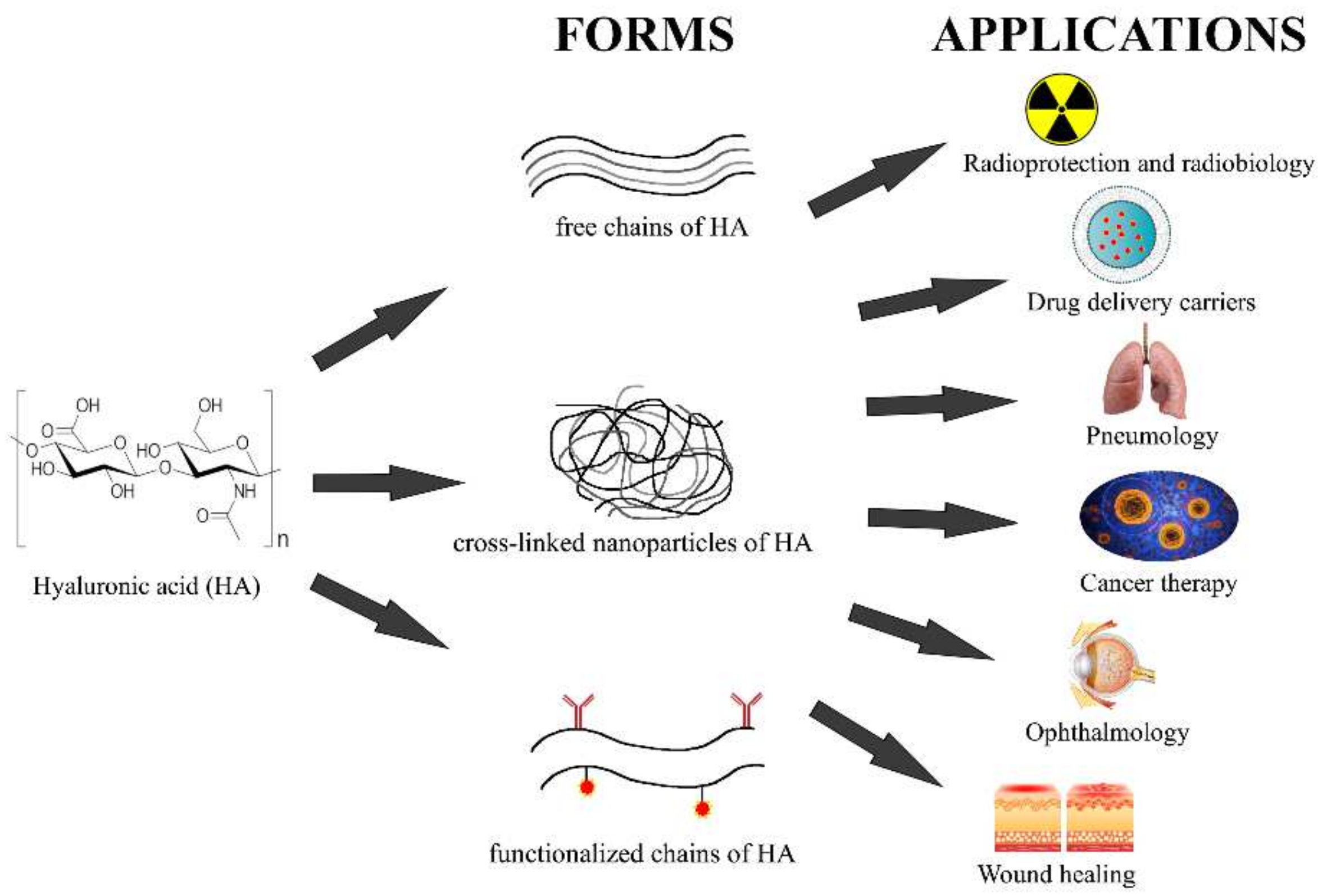 Pharmaceutics 14 00838 g004 Pharmaceutics 14 00838 g004