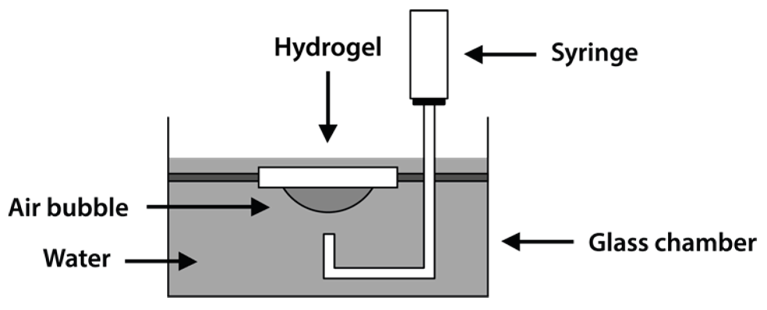 Pharmaceutics 14 00850 g002 Pharmaceutics 14 00850 g002