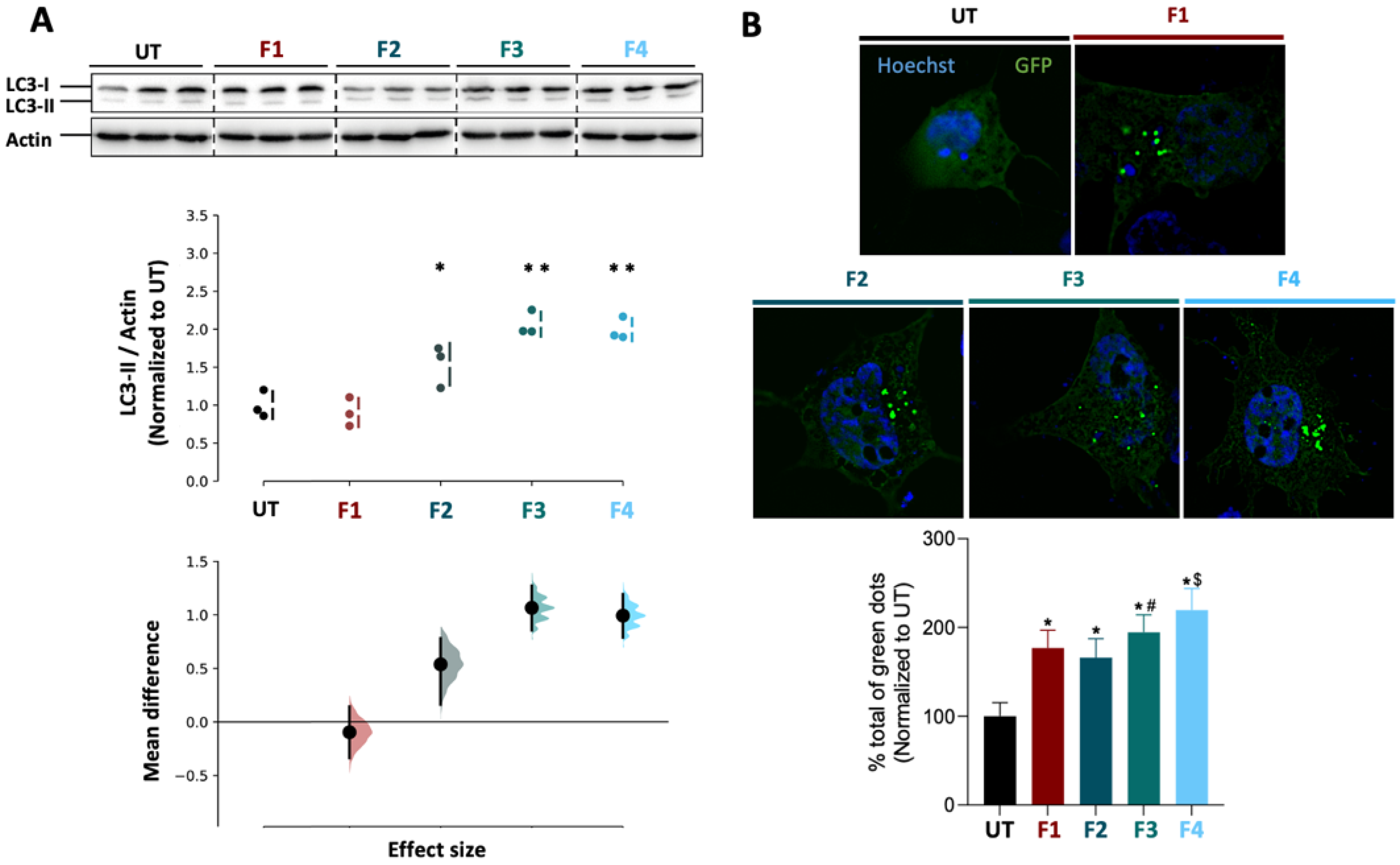 Pharmaceutics 14 00857 g004