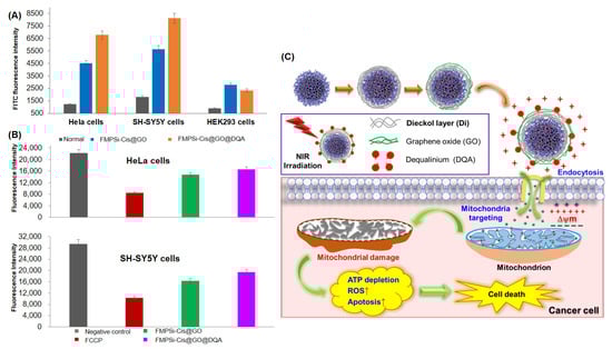 Pharmaceutics 14 00858 g004