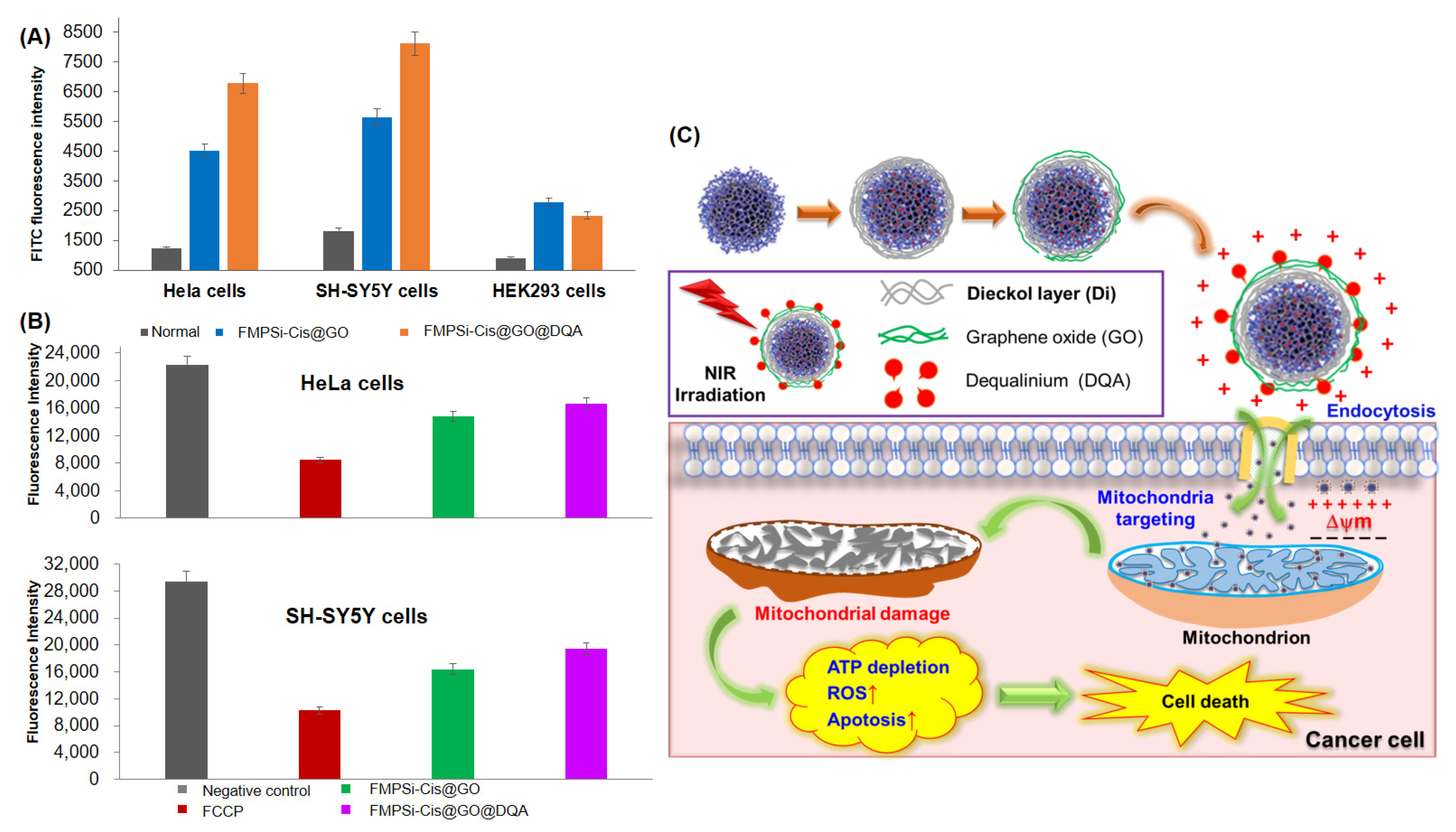 Pharmaceutics 14 00858 g004