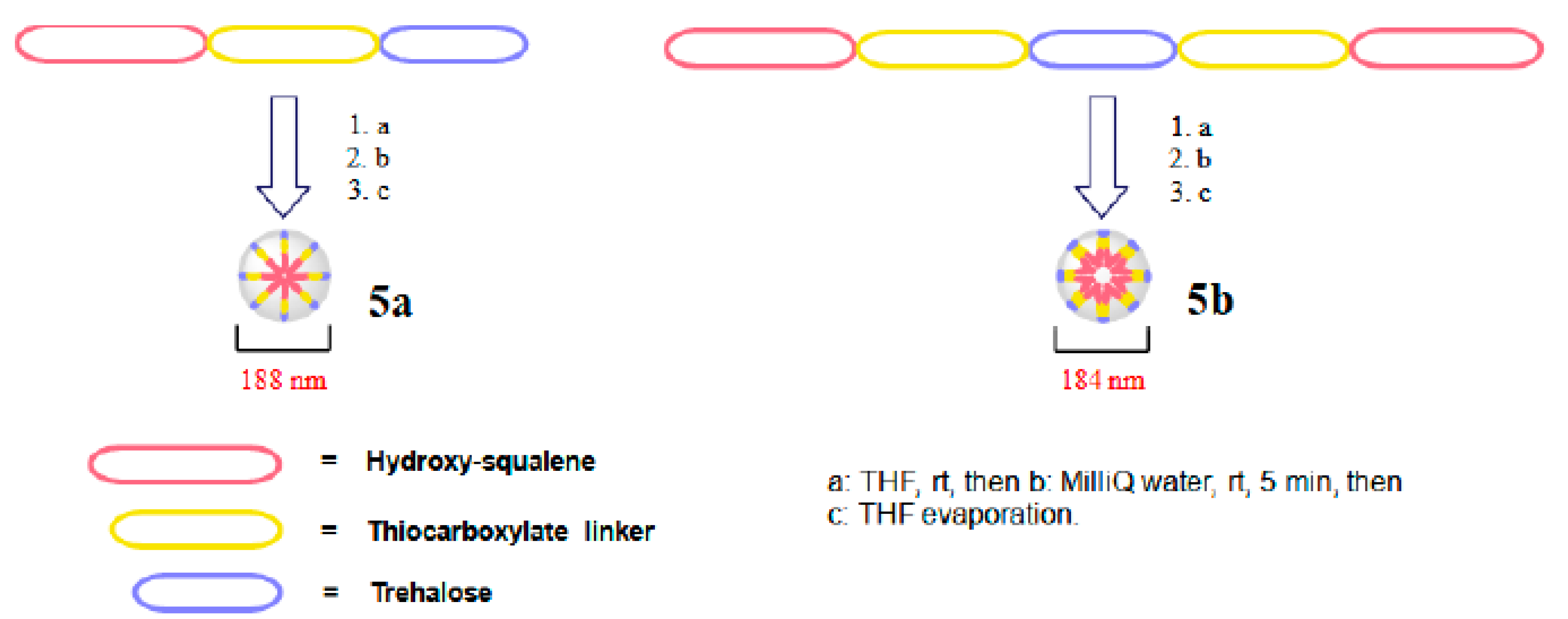 Pharmaceutics 14 00862 sch002