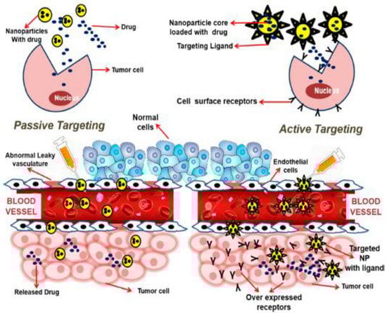 Pharmaceutics 14 00866 g002