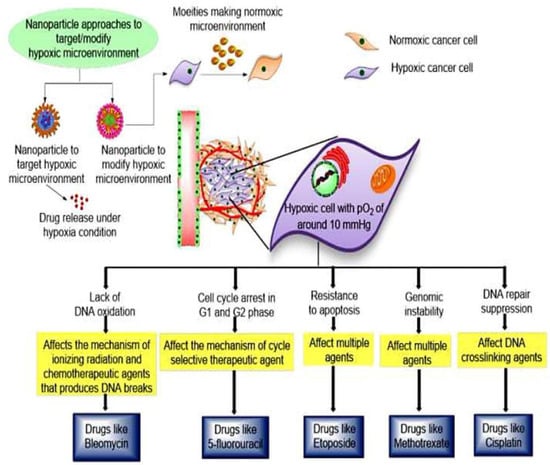 Pharmaceutics 14 00866 g007