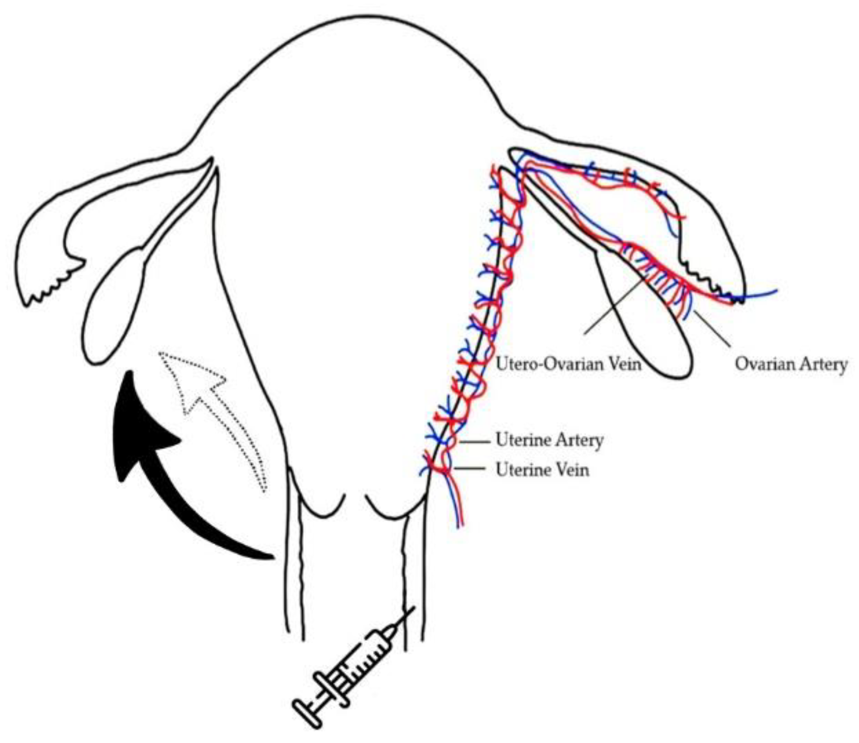 Pharmaceutics 14 00869 g001