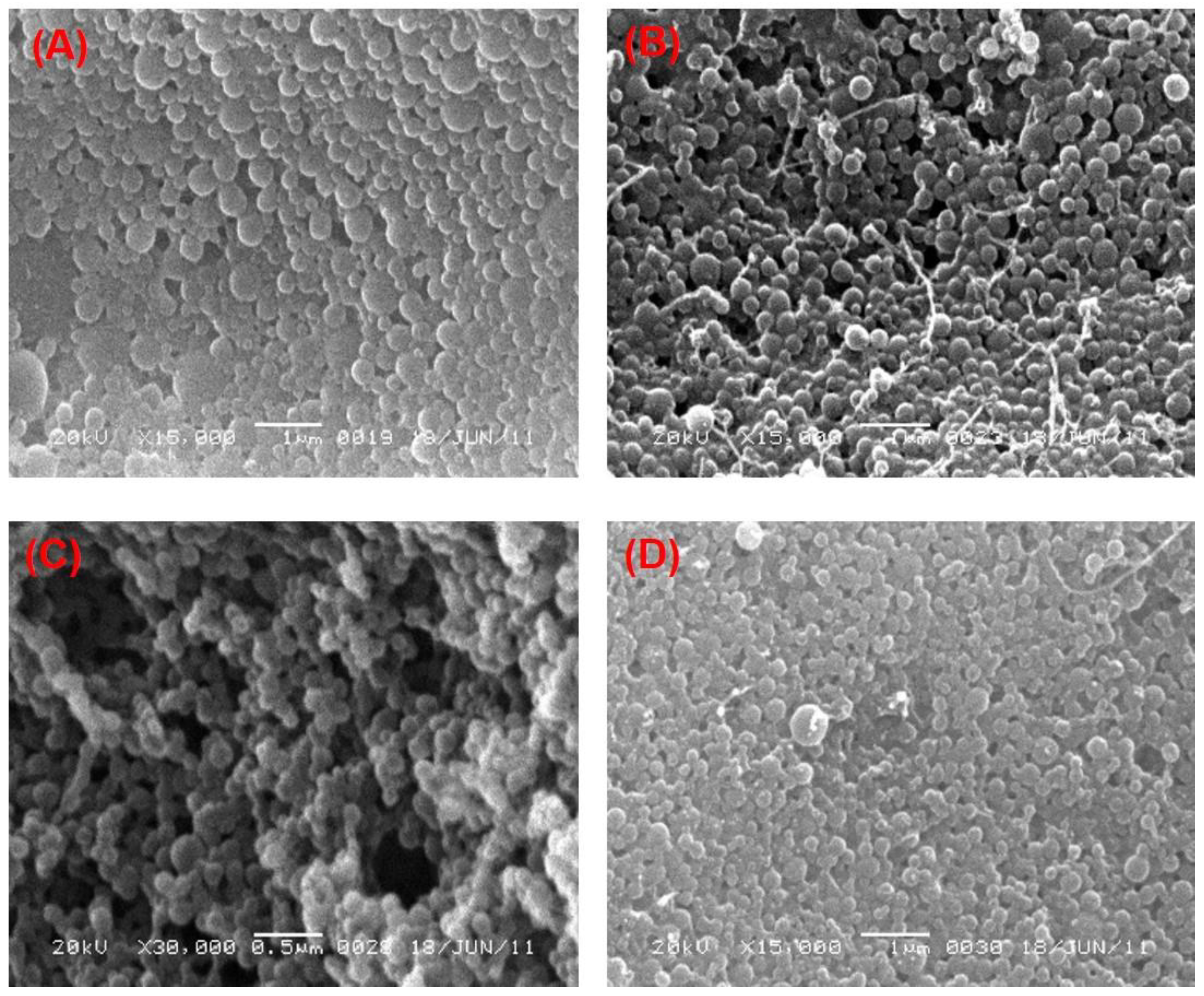 Pharmaceutics 14 00870 g002