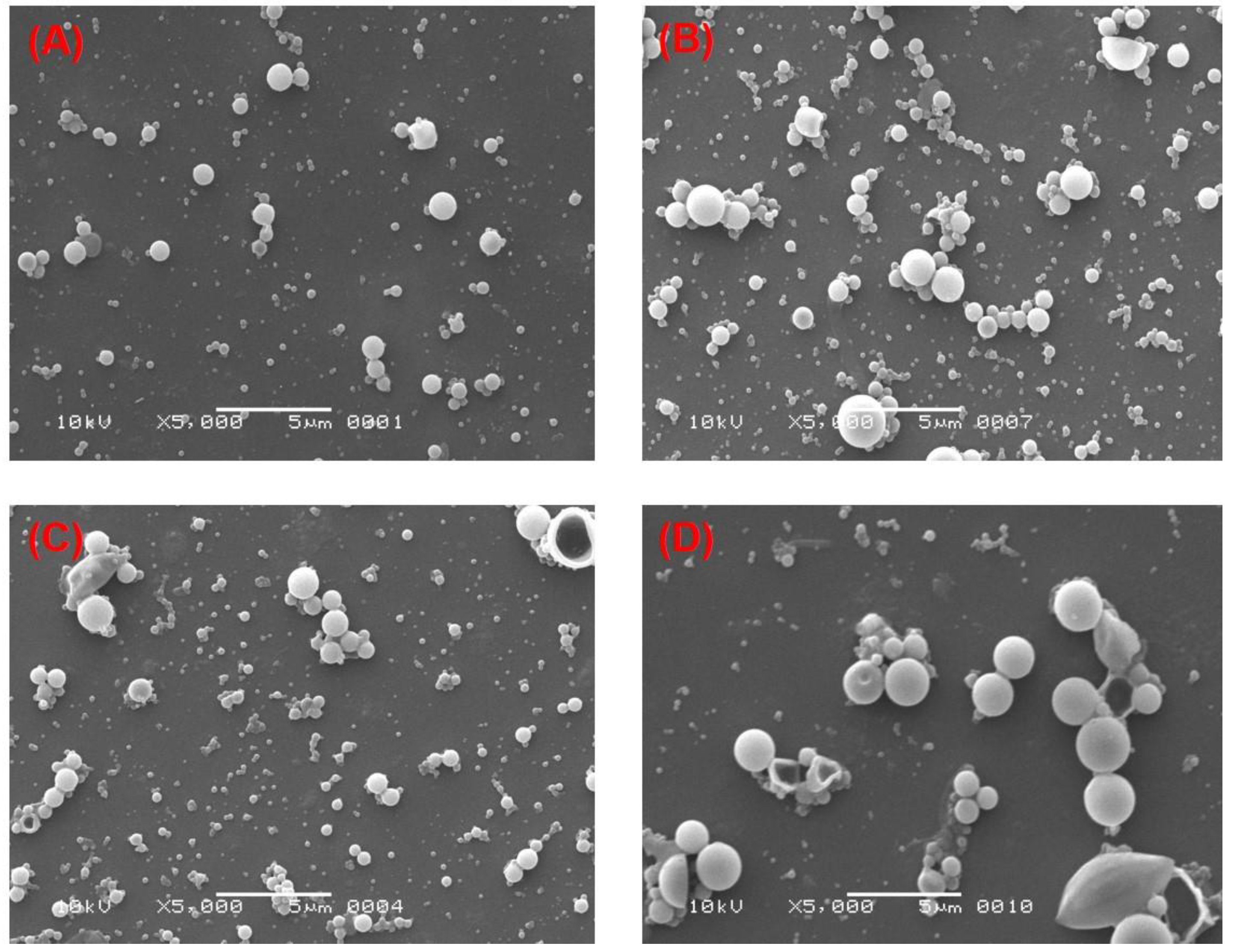 Pharmaceutics 14 00870 g004