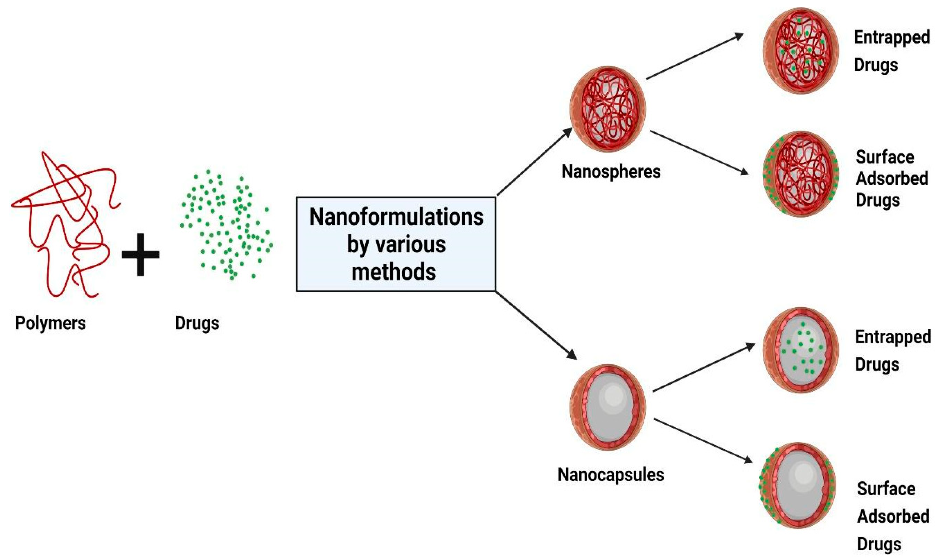 Pharmaceutics 14 00872 g001