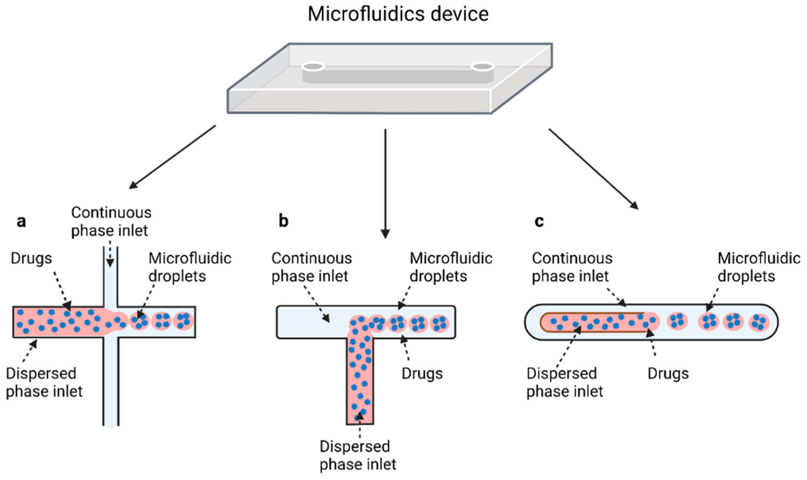 Pharmaceutics 14 00872 g002