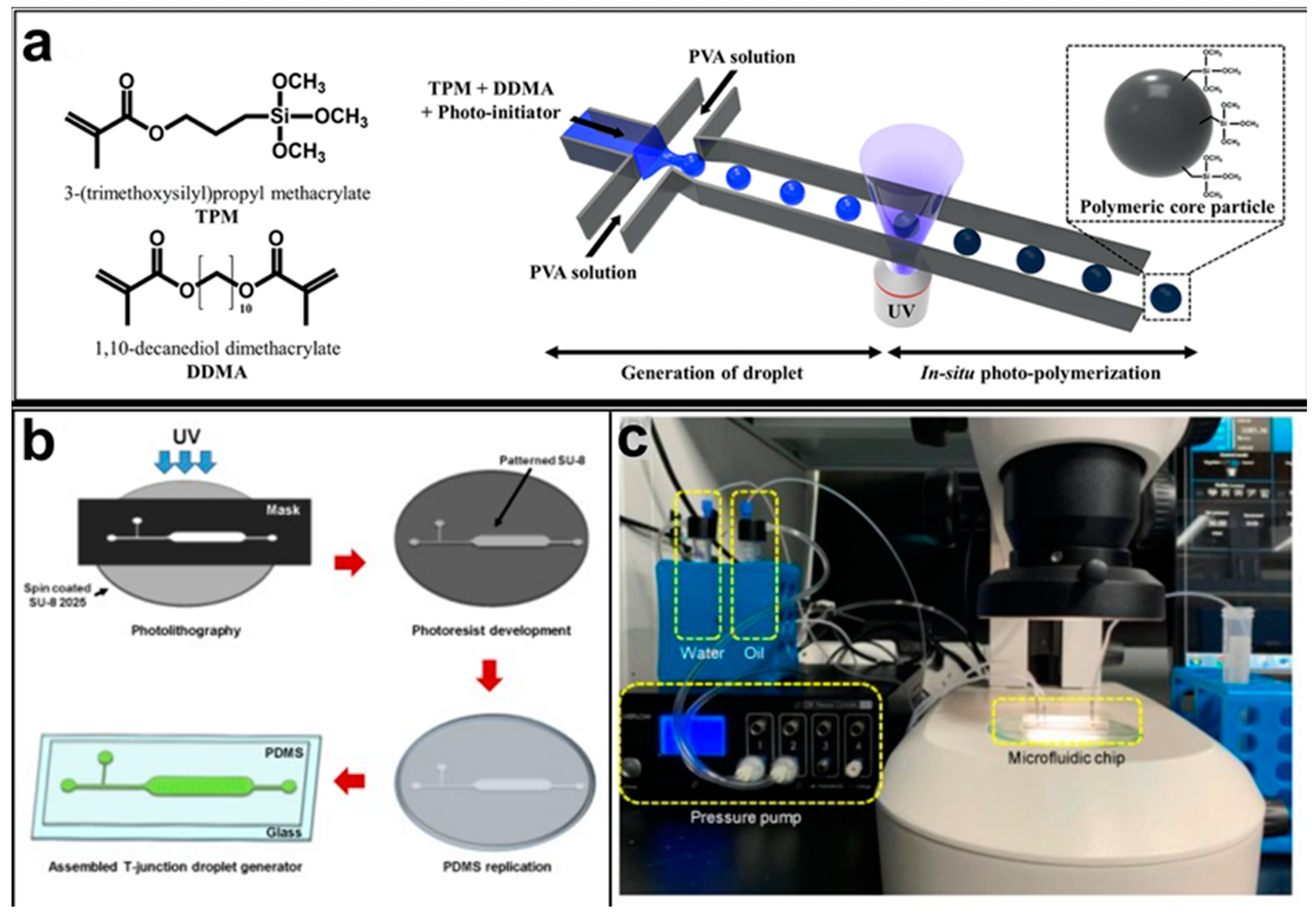 Pharmaceutics 14 00872 g003