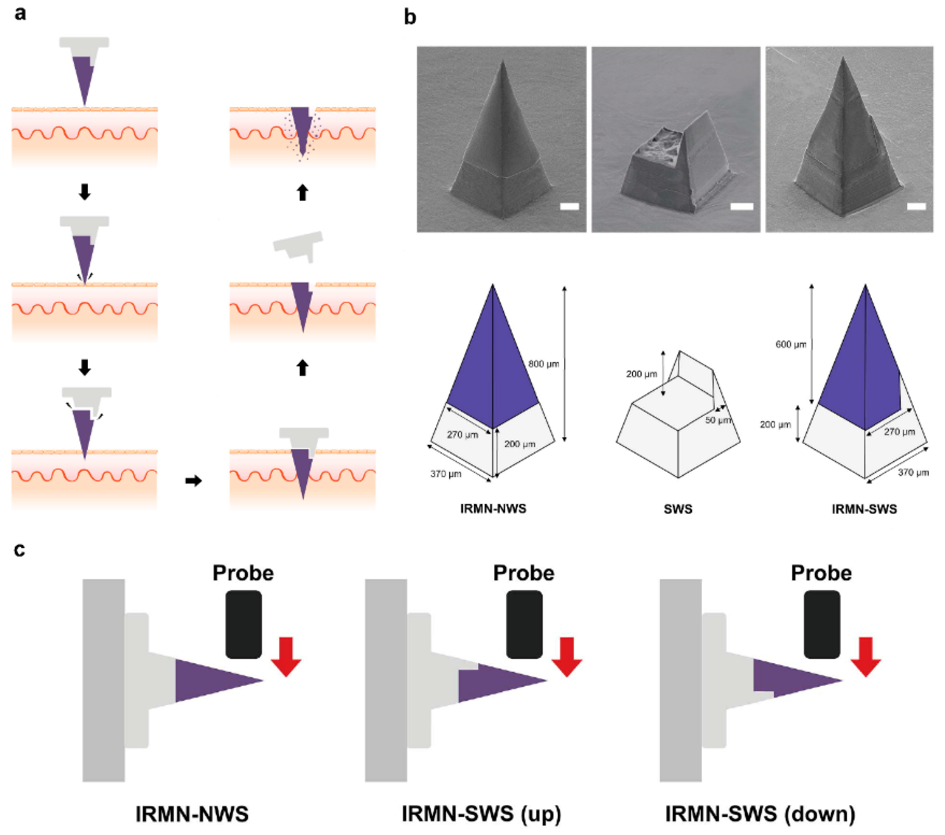 Pharmaceutics 14 00872 g004