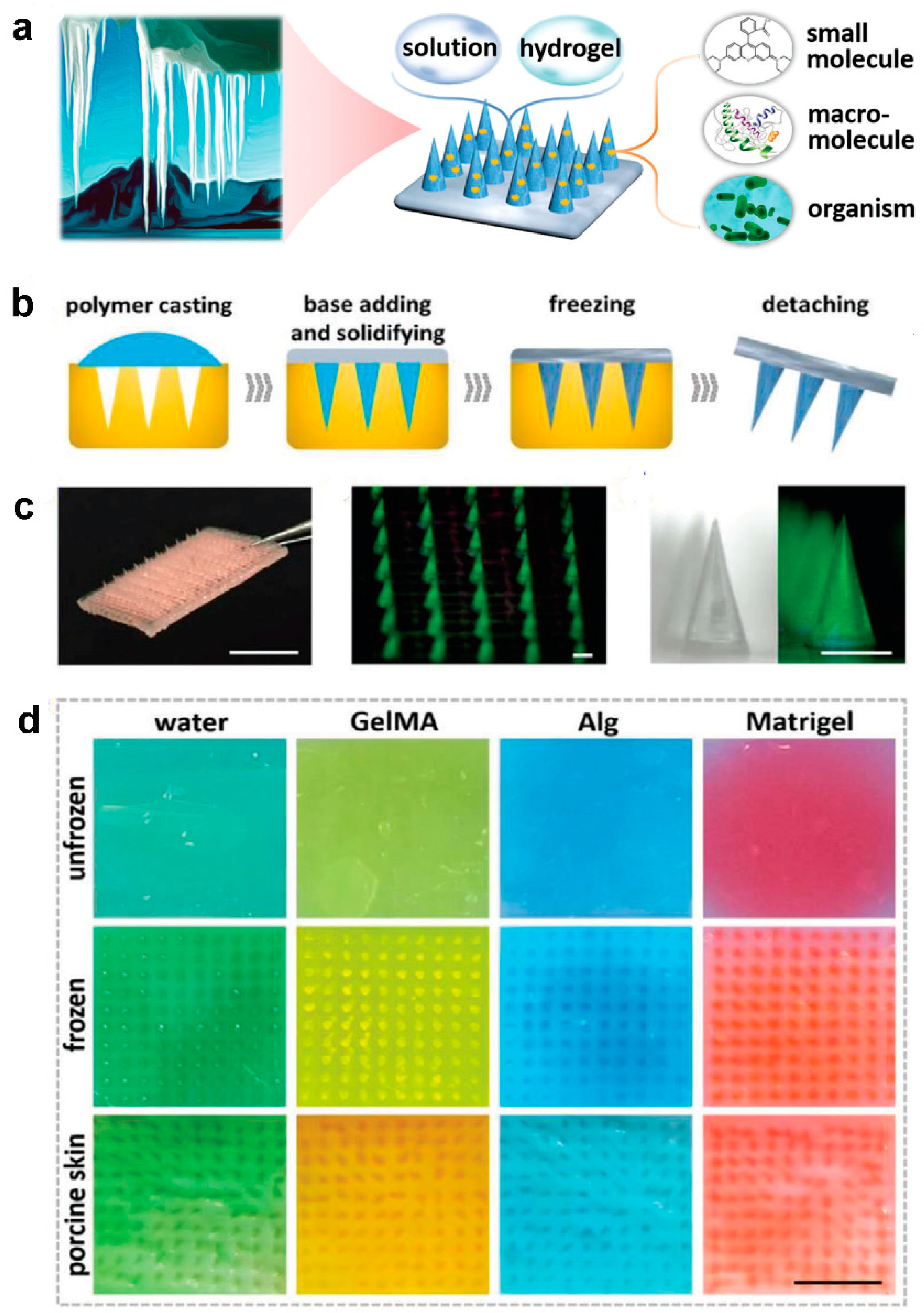 Pharmaceutics 14 00872 g005