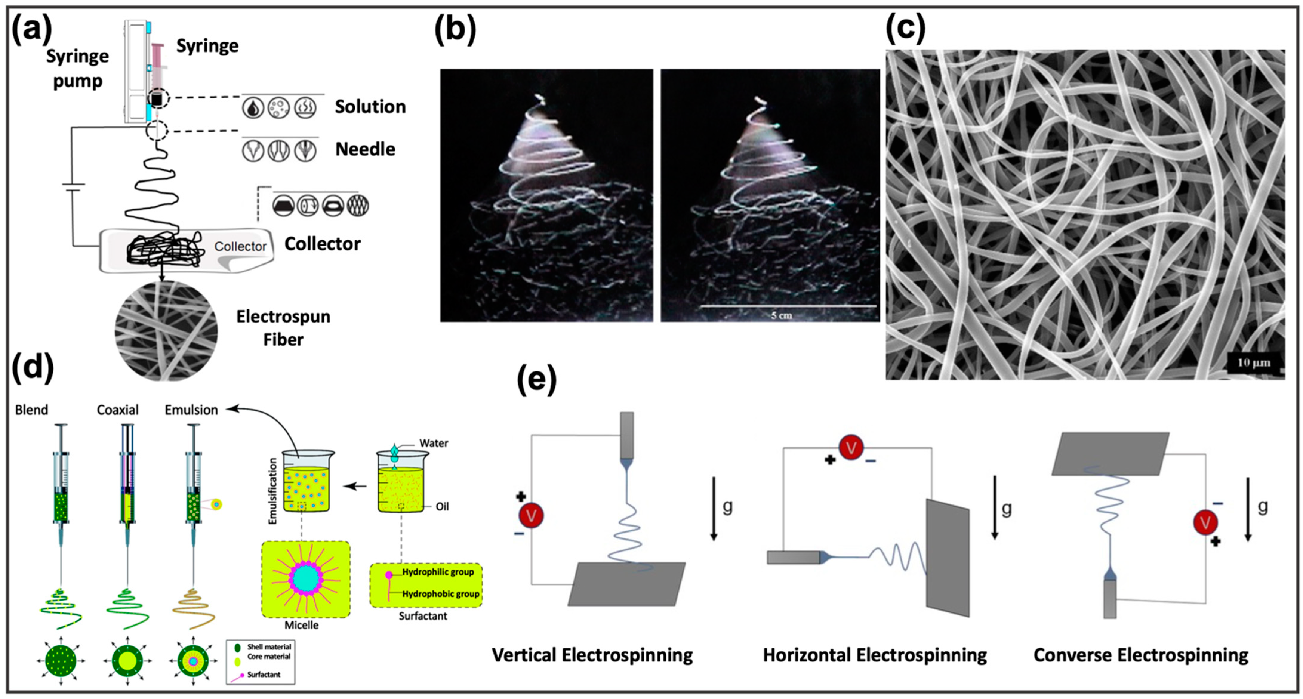 Pharmaceutics 14 00872 g006