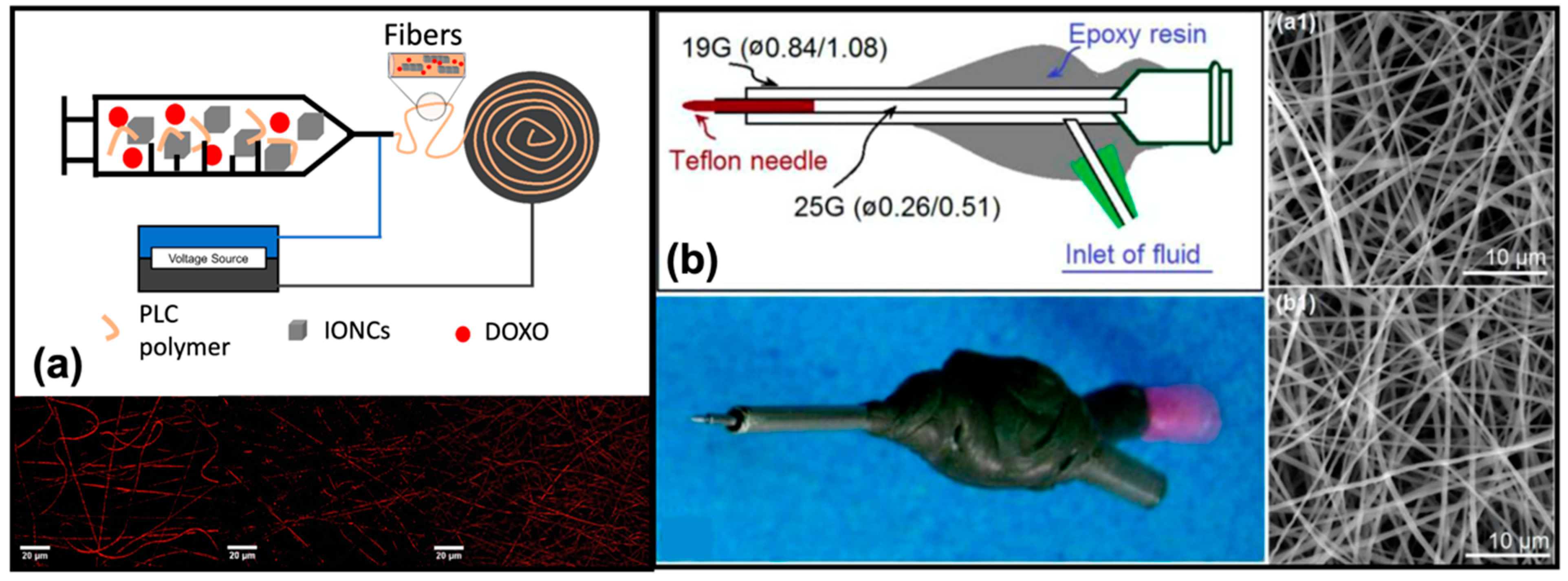 Pharmaceutics 14 00872 g007