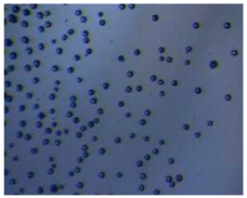 Pharmaceutics 14 00872 i004