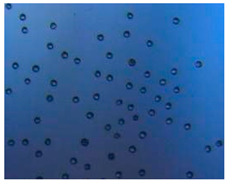 Pharmaceutics 14 00872 i006