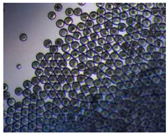 Pharmaceutics 14 00872 i007