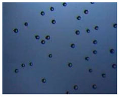 Pharmaceutics 14 00872 i008