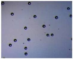 Pharmaceutics 14 00872 i012