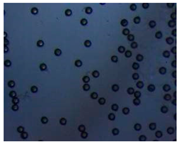 Pharmaceutics 14 00872 i014