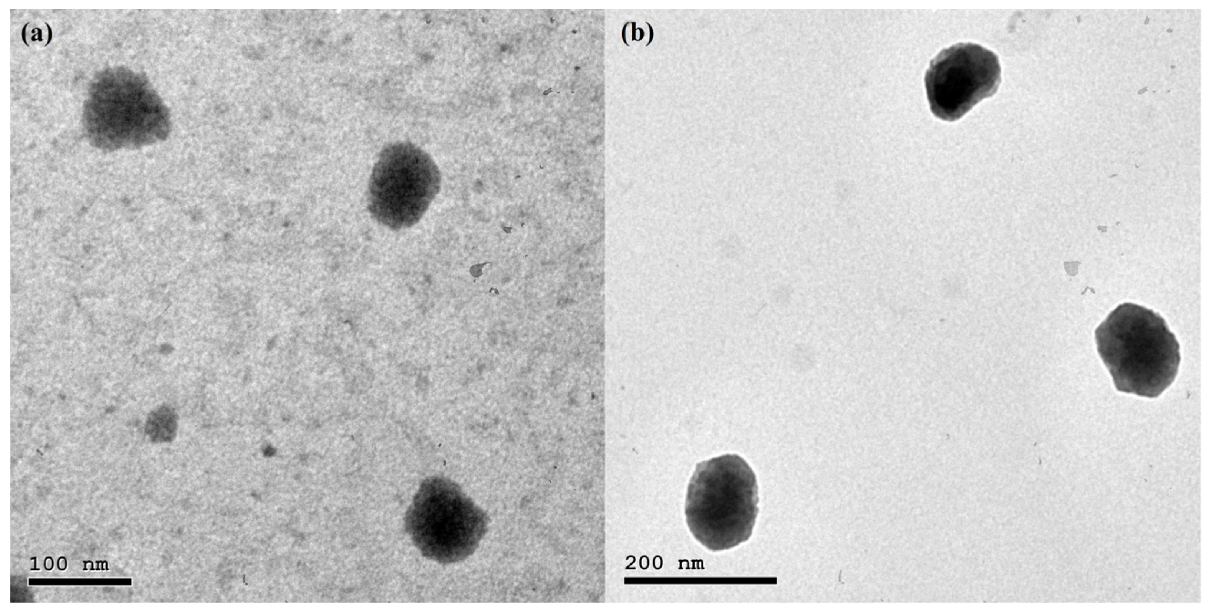 Pharmaceutics 14 00875 g003