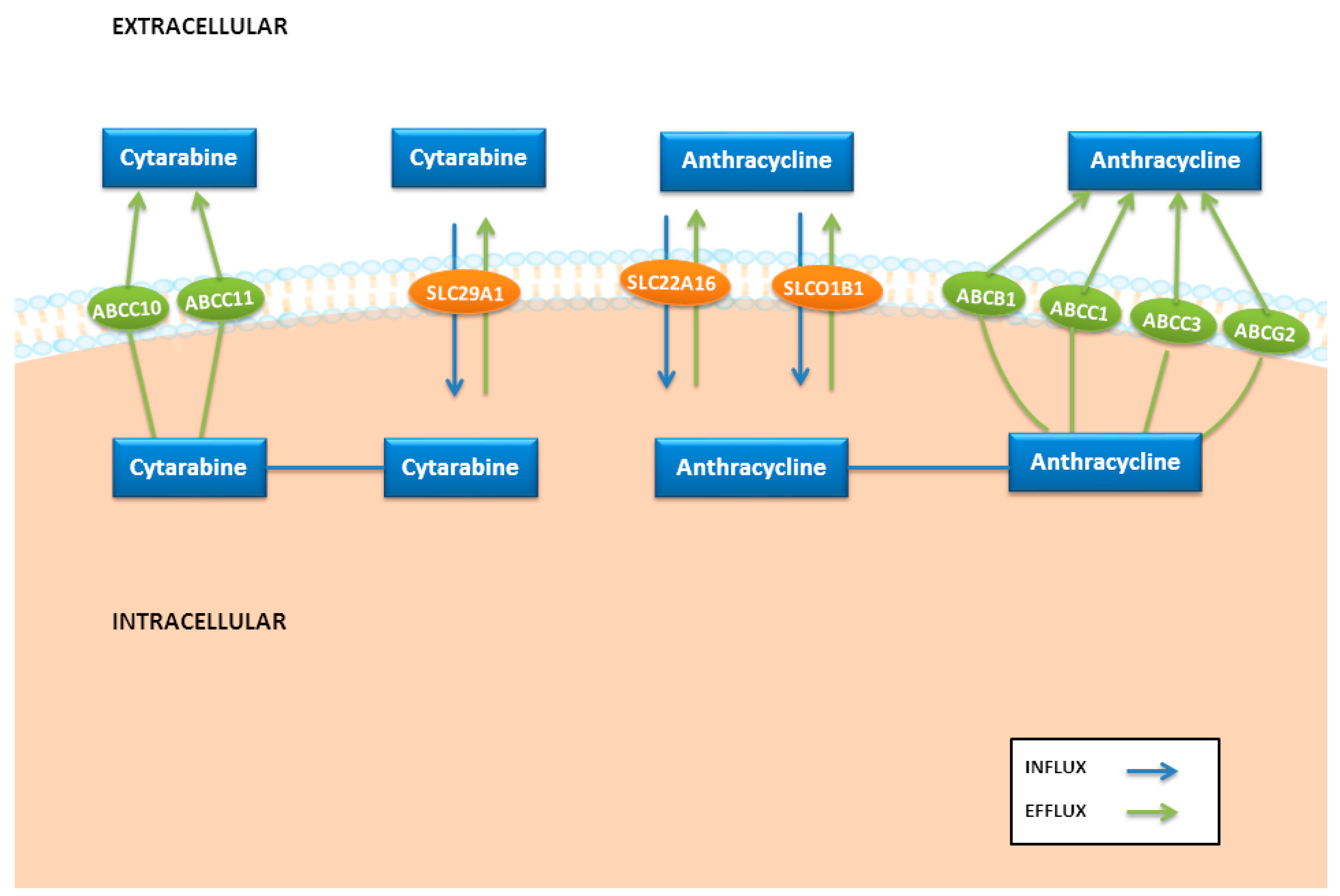 Pharmaceutics 14 00878 g002