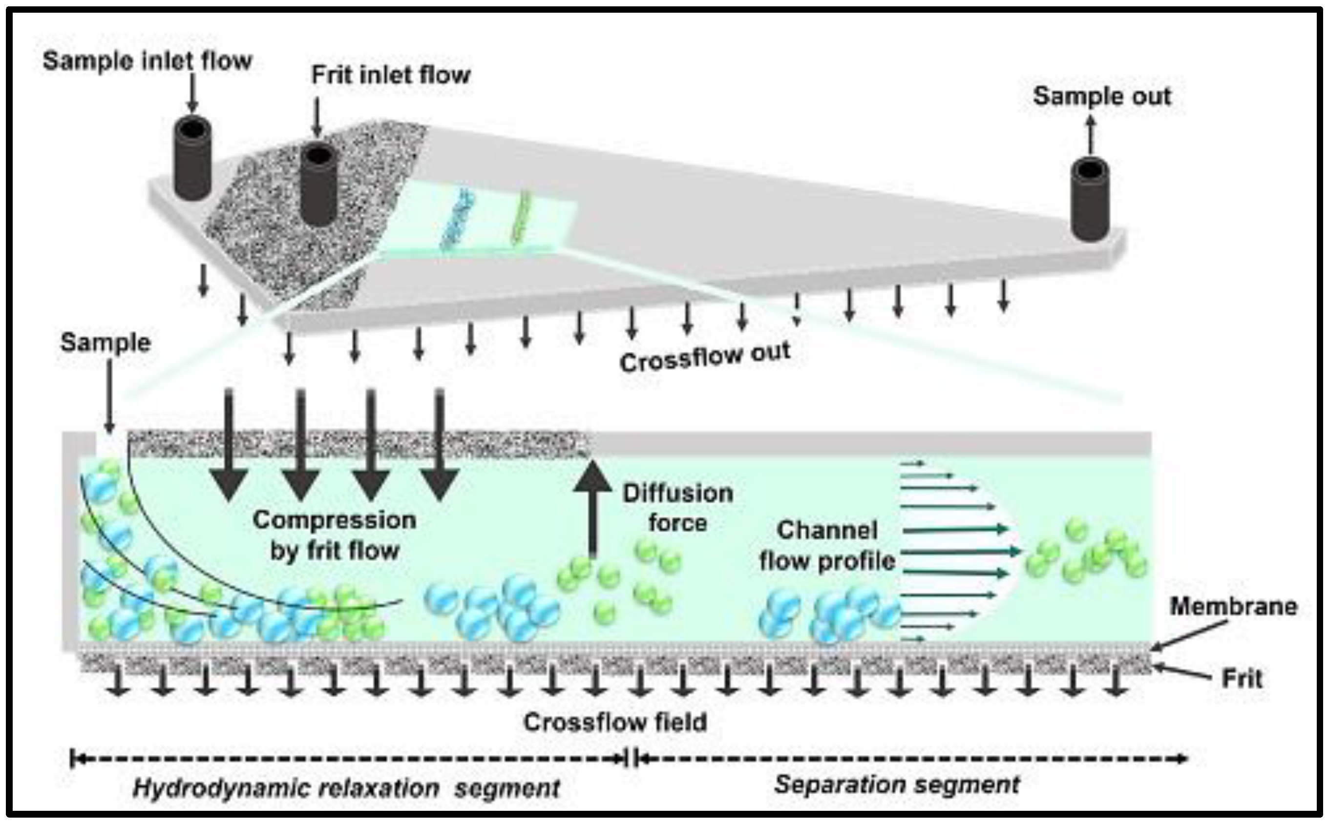 Pharmaceutics 14 00883 g001 Pharmaceutics 14 00883 g001