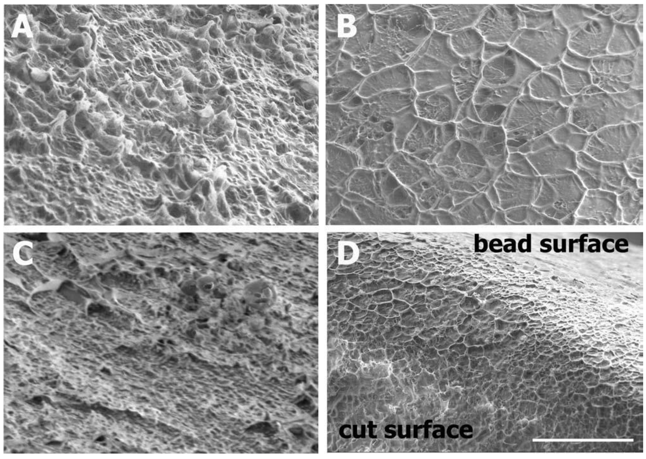 Pharmaceutics 14 00883 g002 Pharmaceutics 14 00883 g002