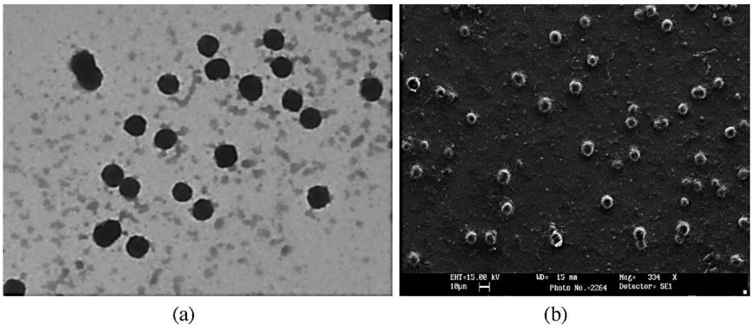 Pharmaceutics 14 00883 g003 Pharmaceutics 14 00883 g003