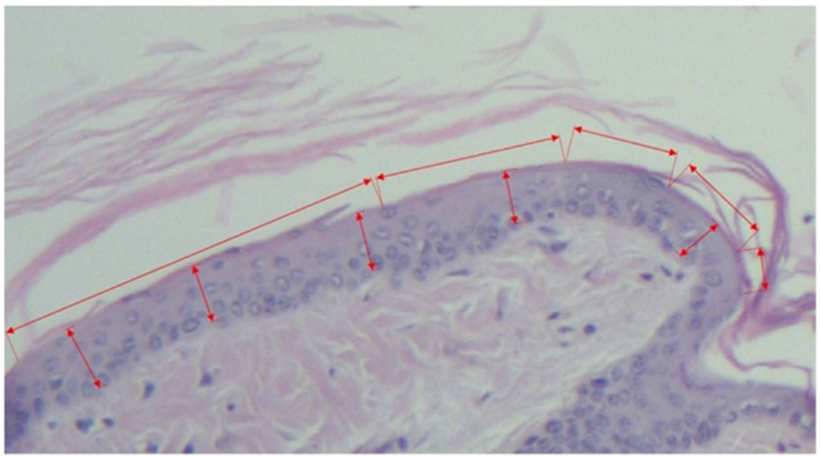 Pharmaceutics 14 00885 g001 Pharmaceutics 14 00885 g001