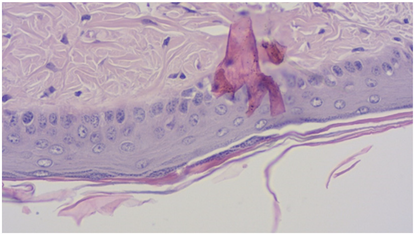 Pharmaceutics 14 00885 g002 Pharmaceutics 14 00885 g002