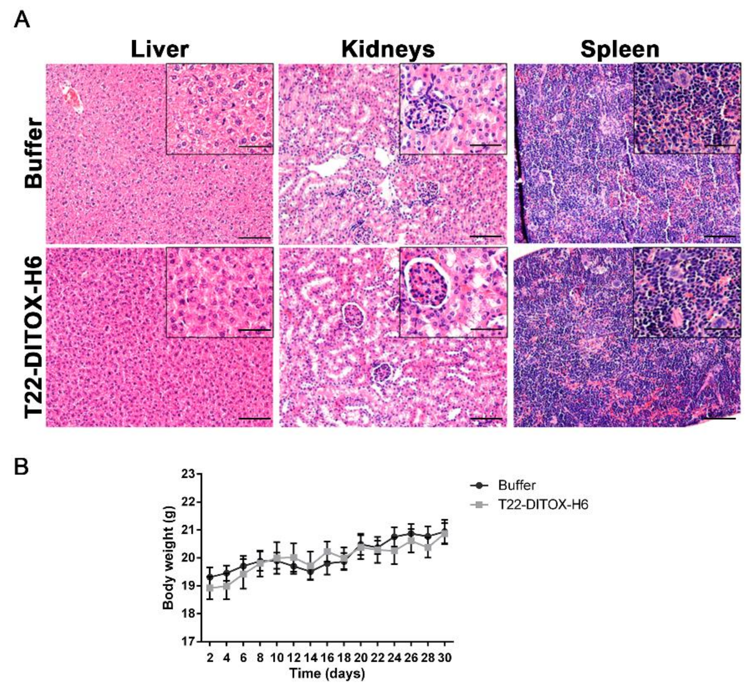 Pharmaceutics 14 00887 g005