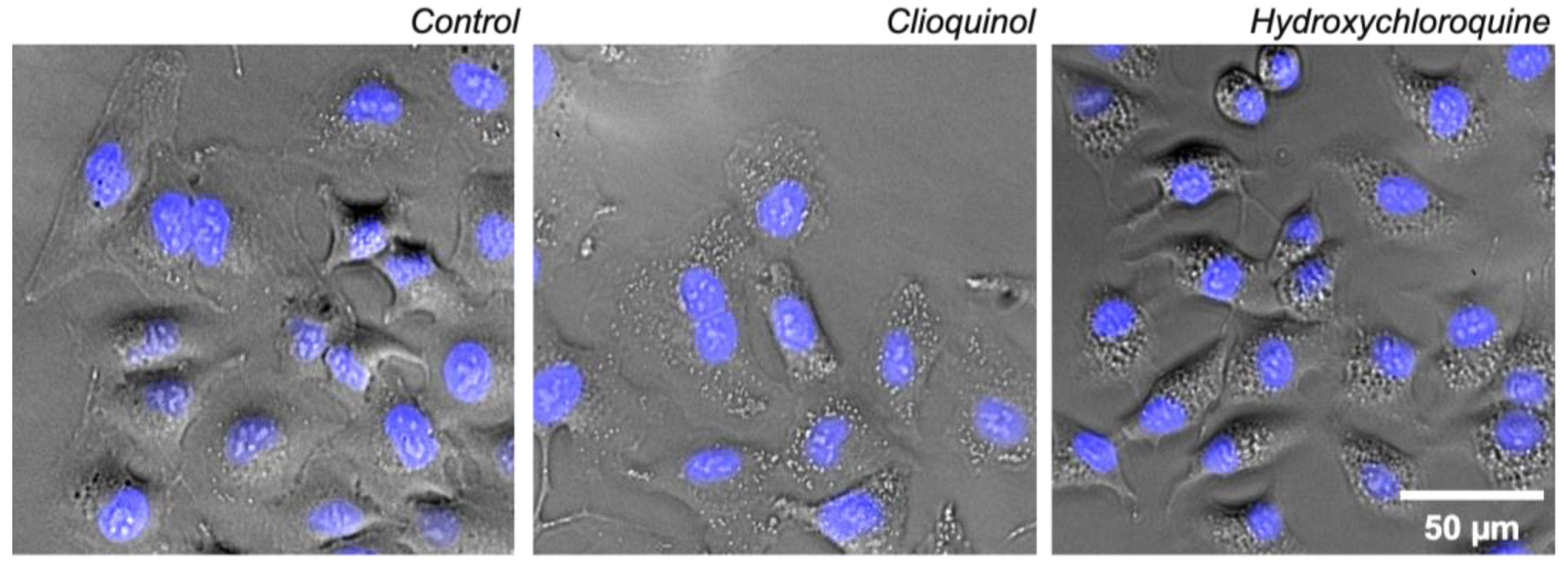 Pharmaceutics 14 00899 g008