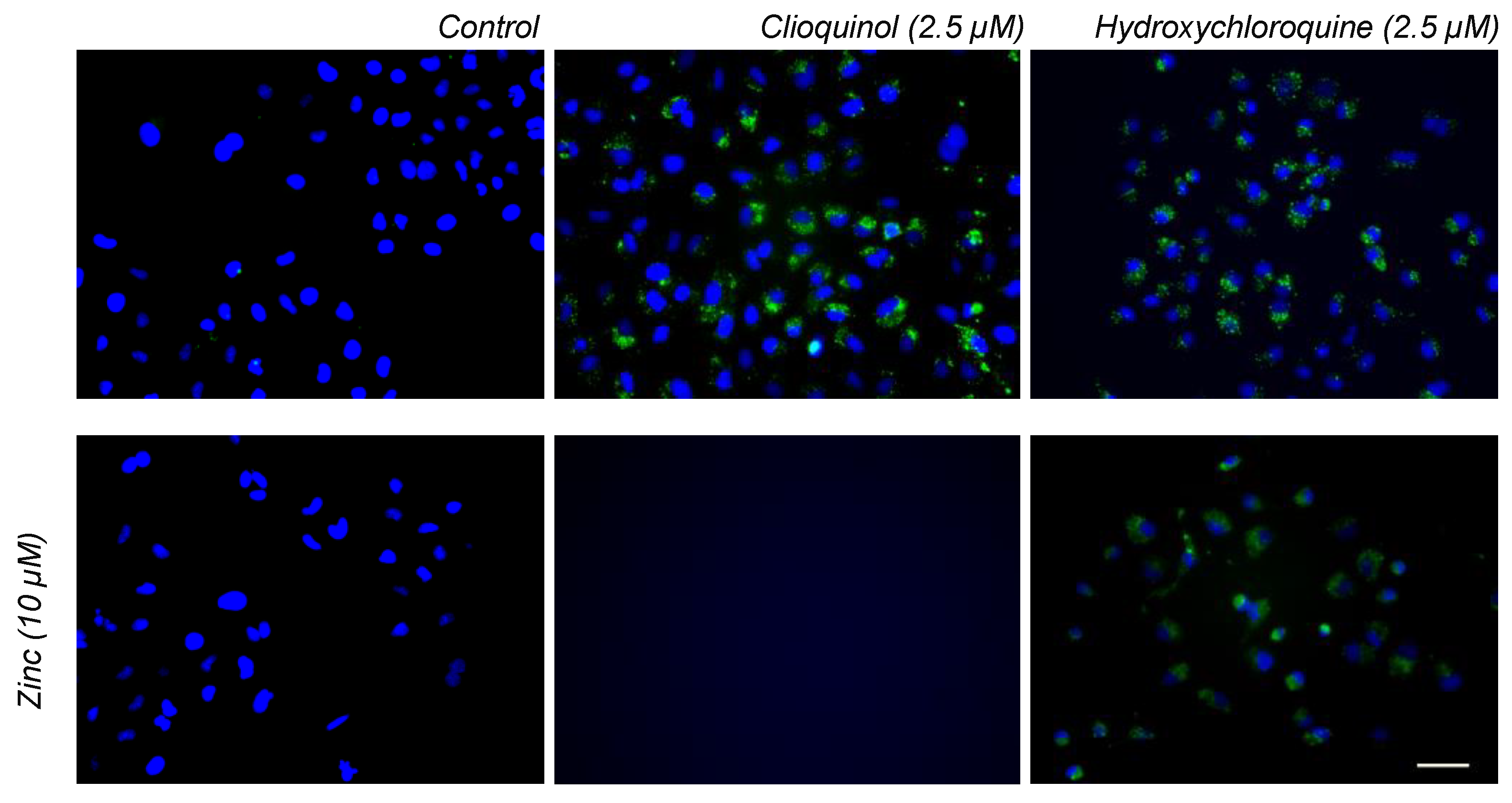 Pharmaceutics 14 00899 g009