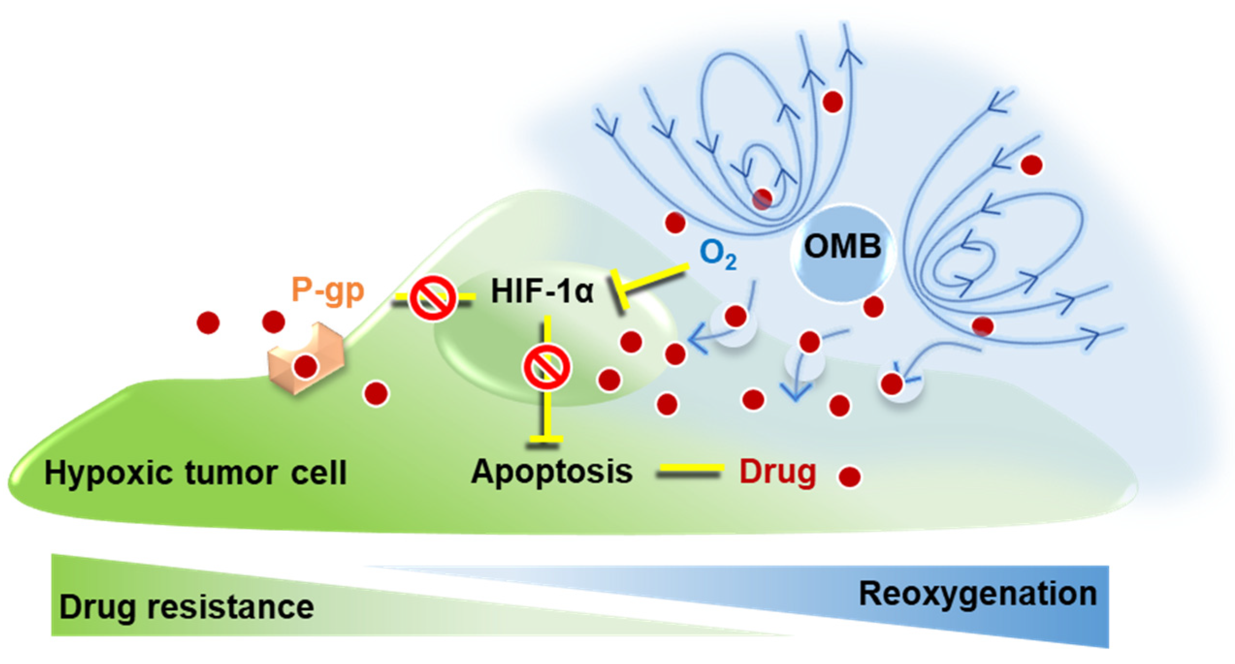Pharmaceutics 14 00902 g001