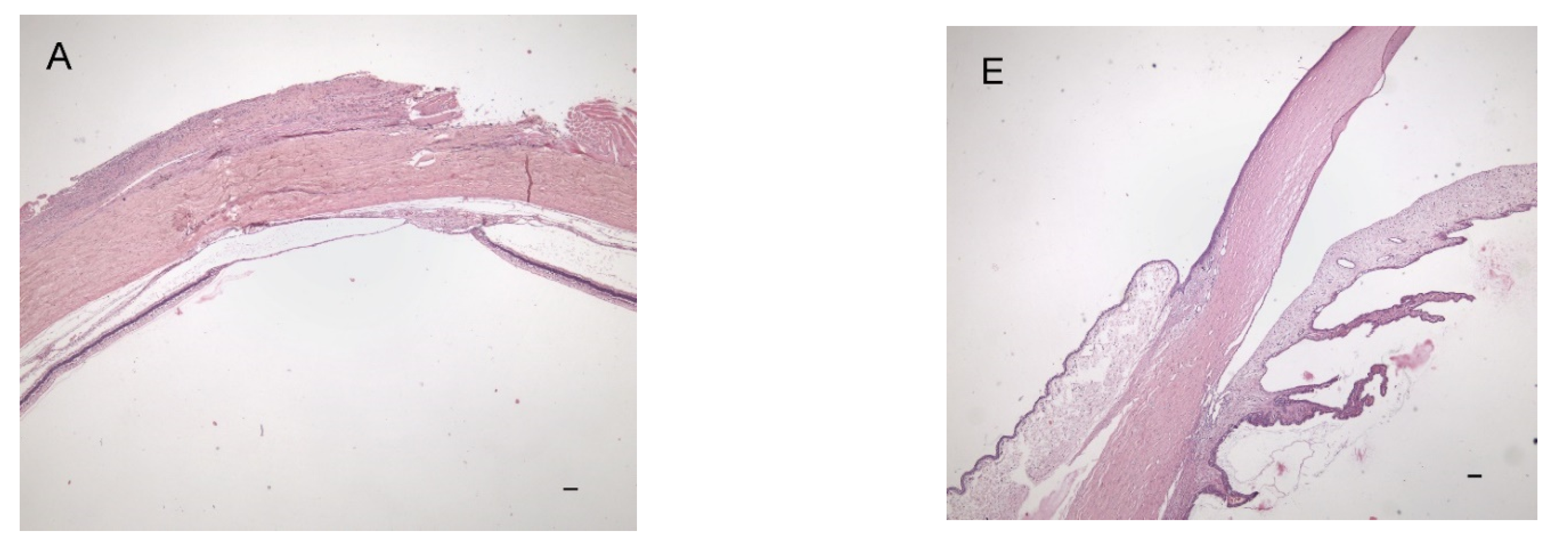 Pharmaceutics 14 00903 g003a