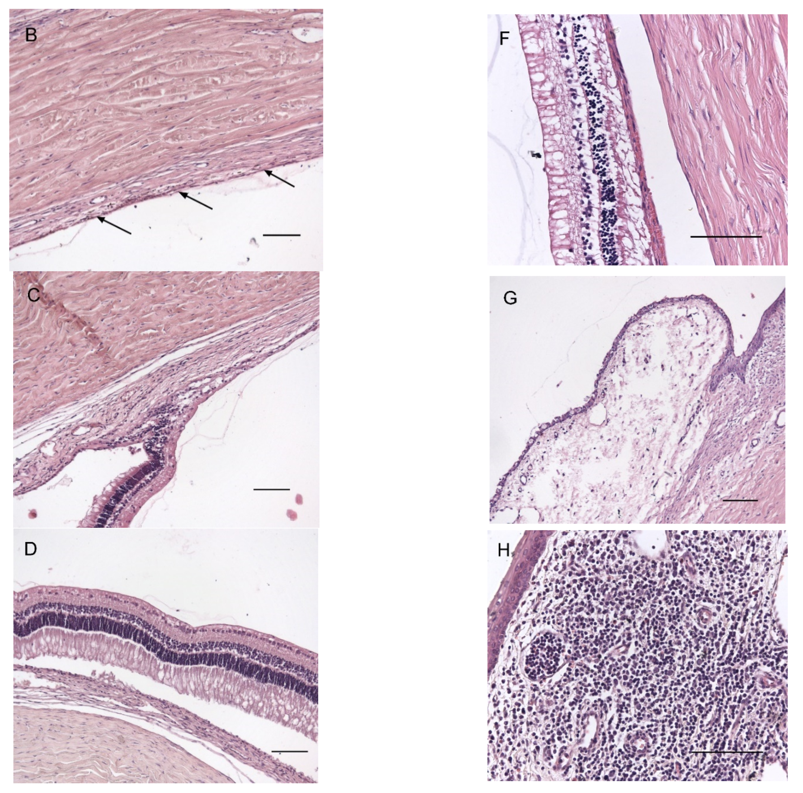 Pharmaceutics 14 00903 g003b