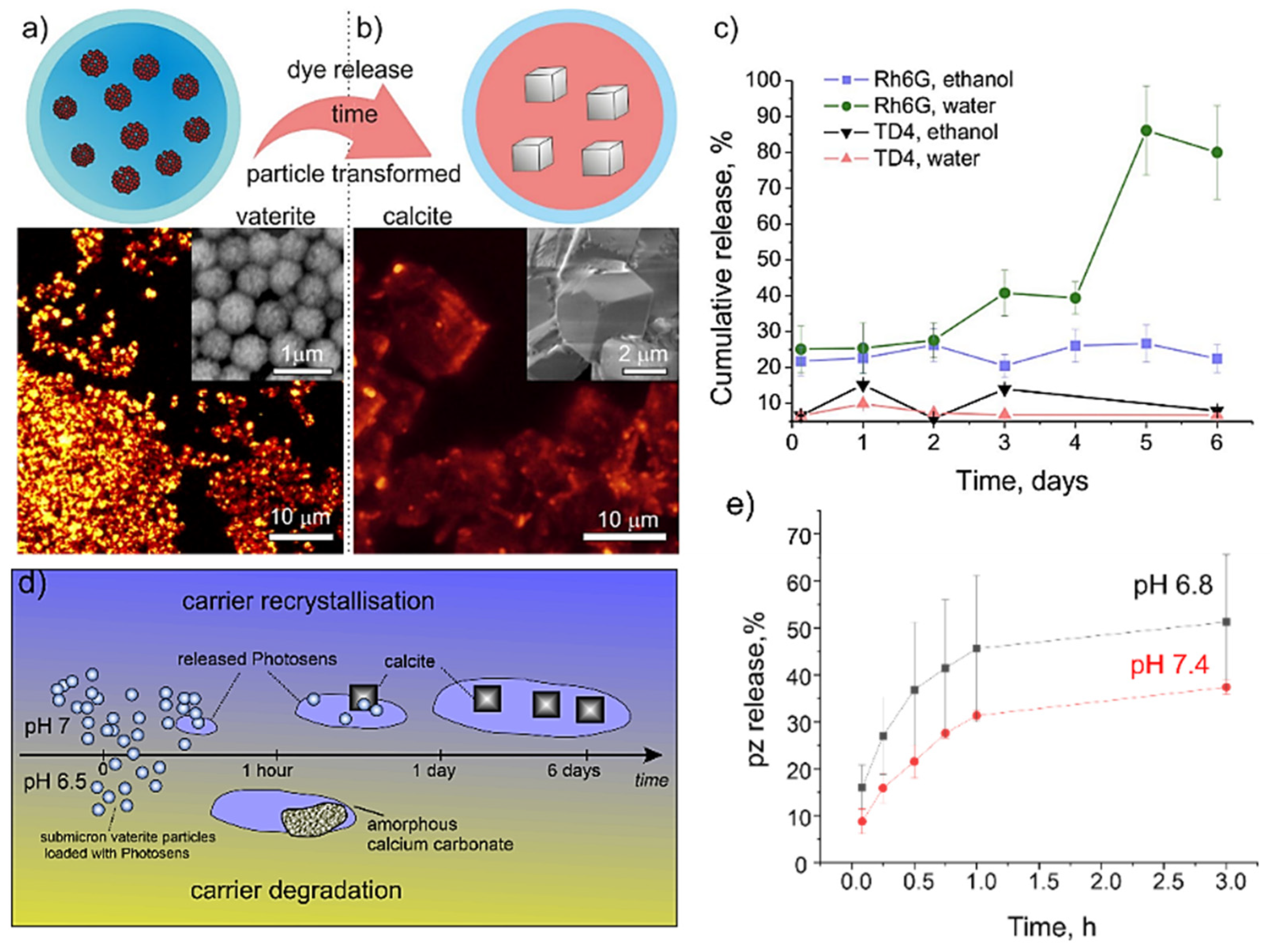 Pharmaceutics 14 00909 g005