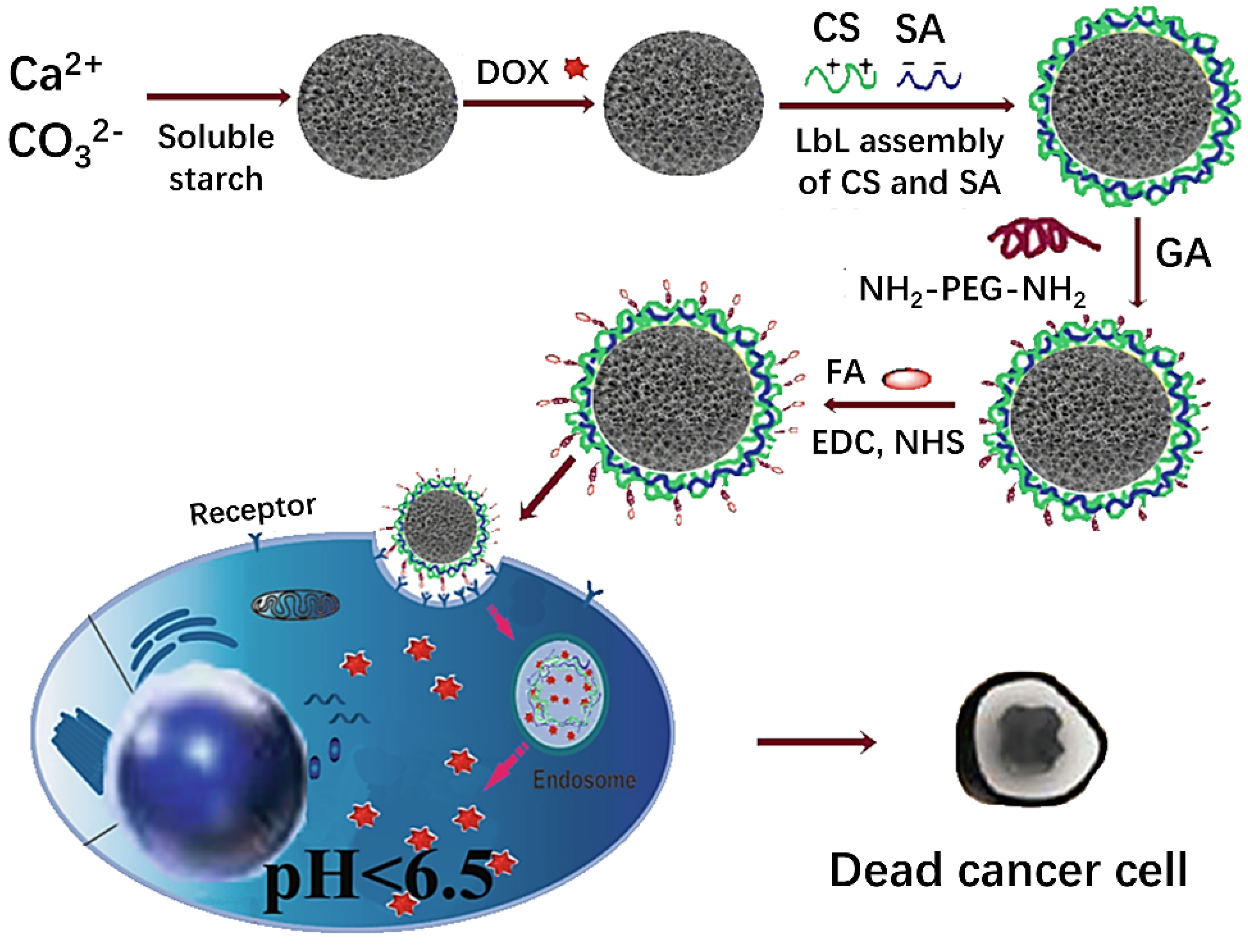 Pharmaceutics 14 00909 g006
