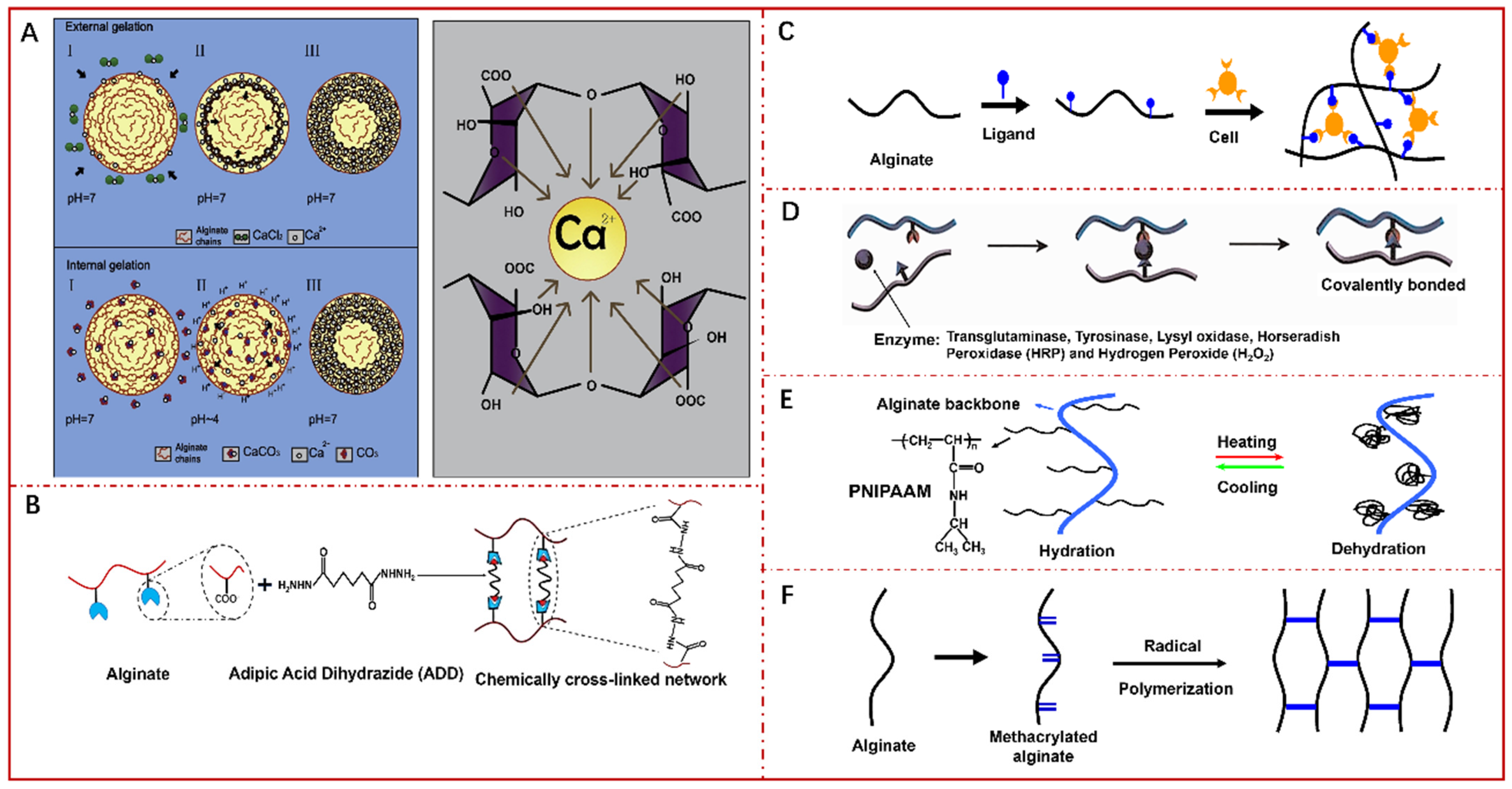 Pharmaceutics 14 00909 g007