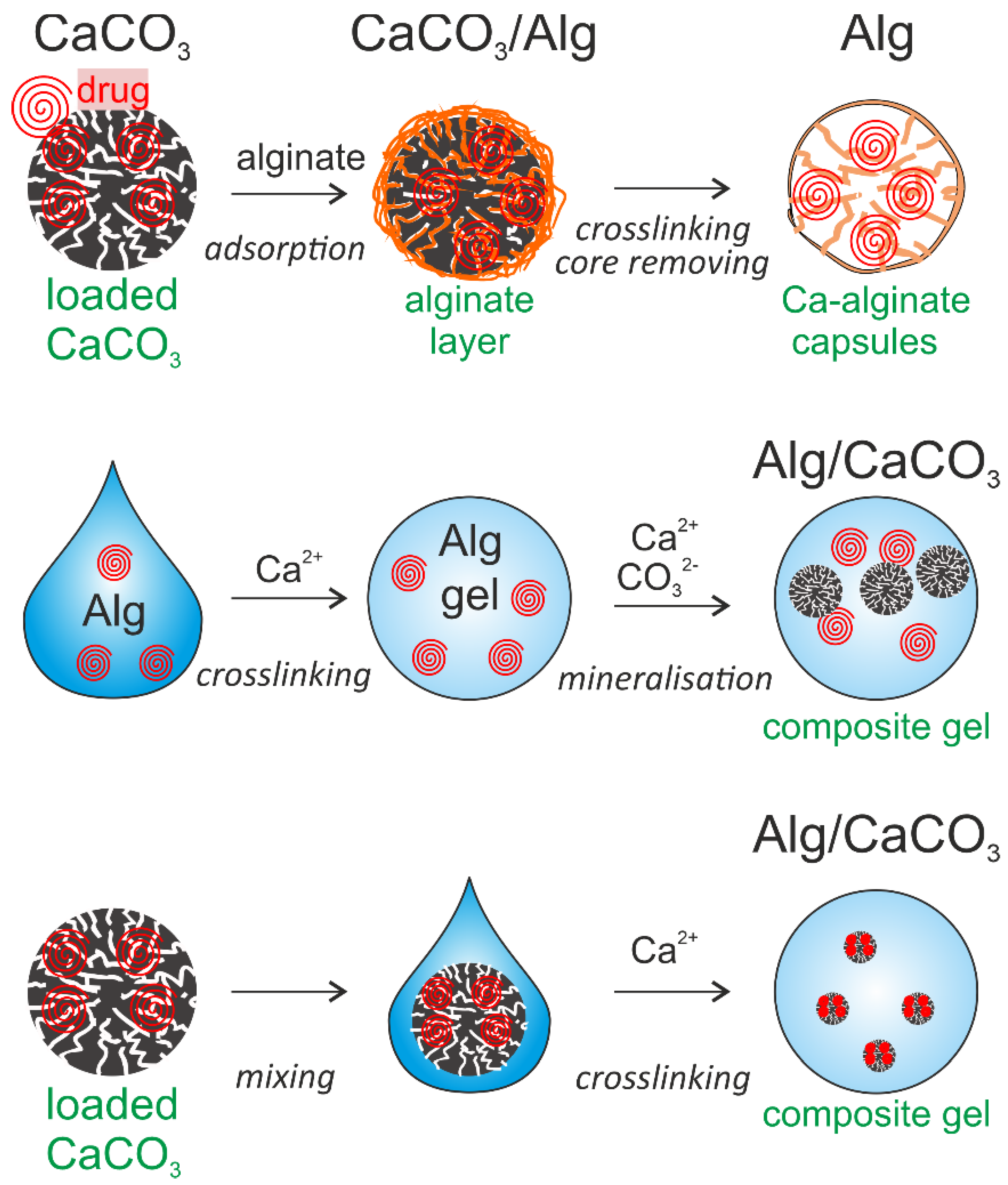 Pharmaceutics 14 00909 g010