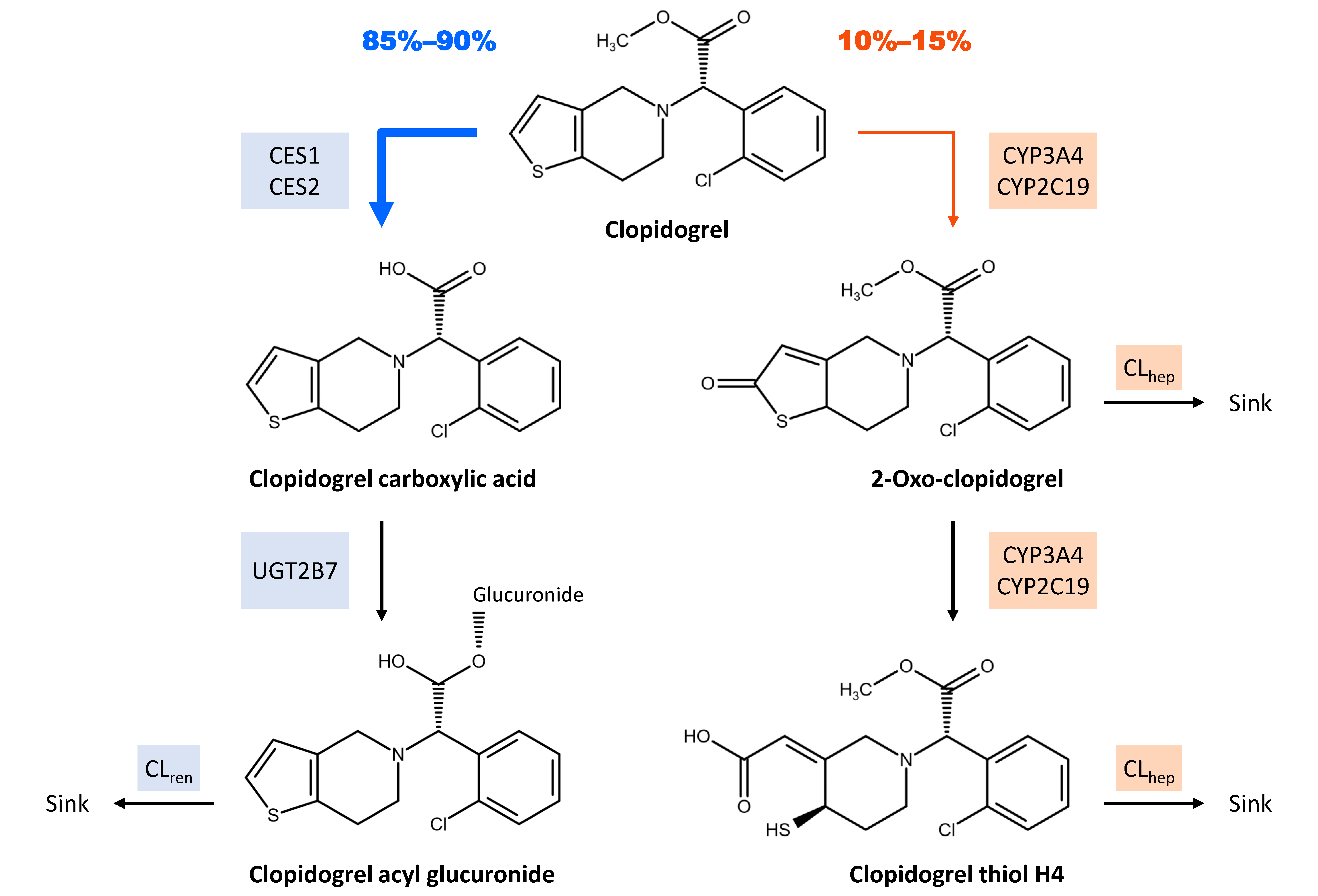 Pharmaceutics 14 00915 g001 Pharmaceutics 14 00915 g001