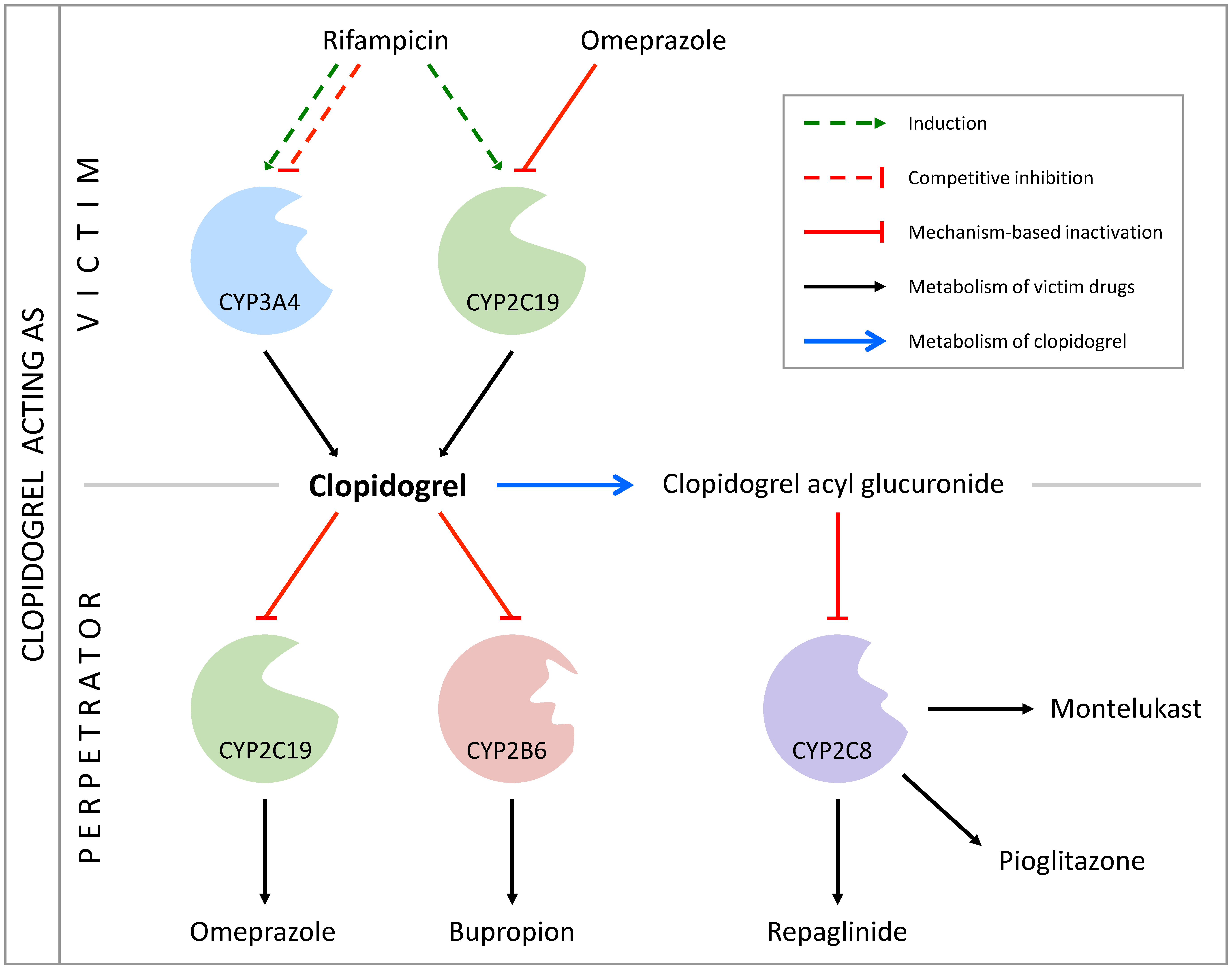 Pharmaceutics 14 00915 g005 Pharmaceutics 14 00915 g005
