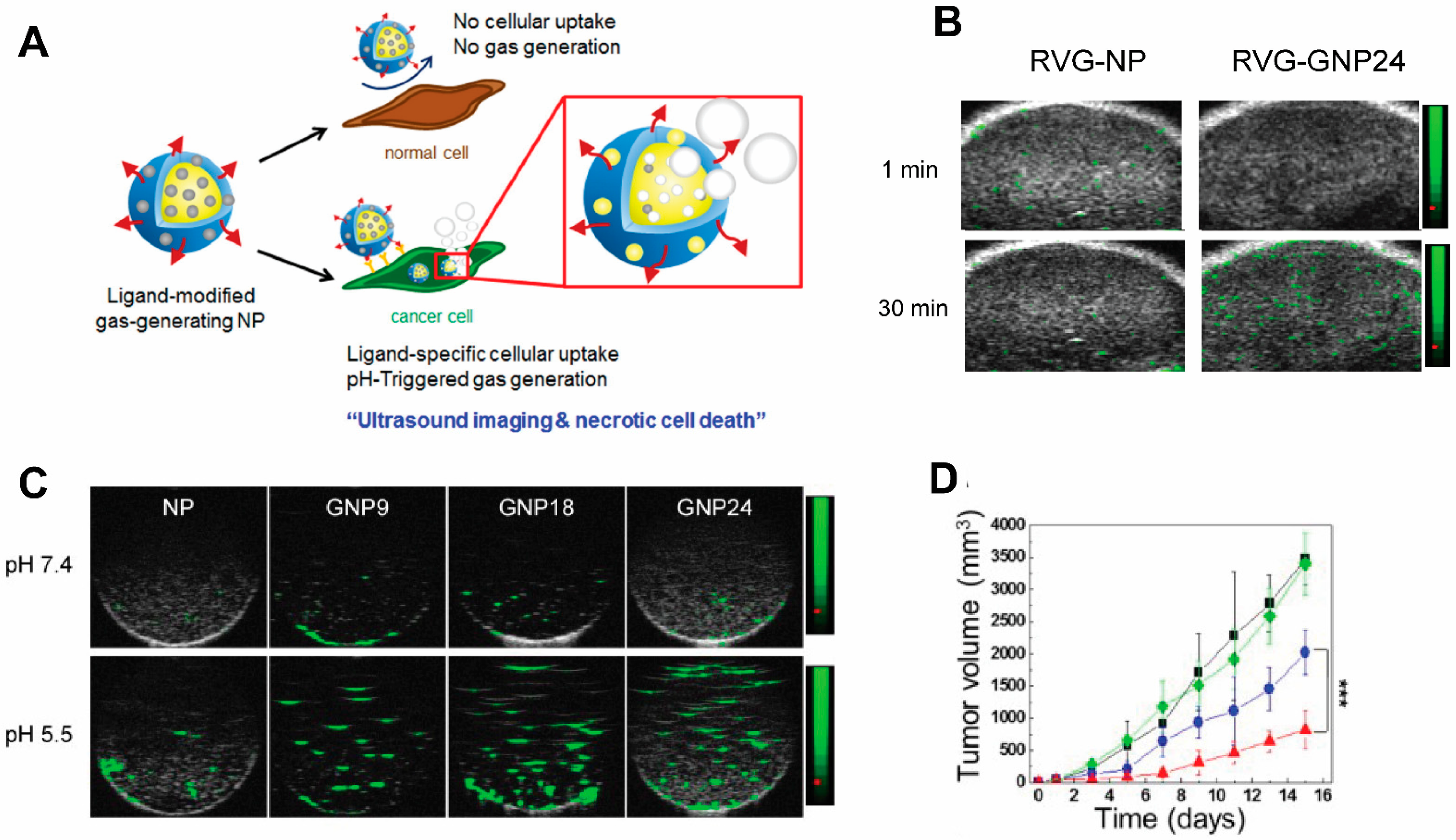 Pharmaceutics 14 00917 g005