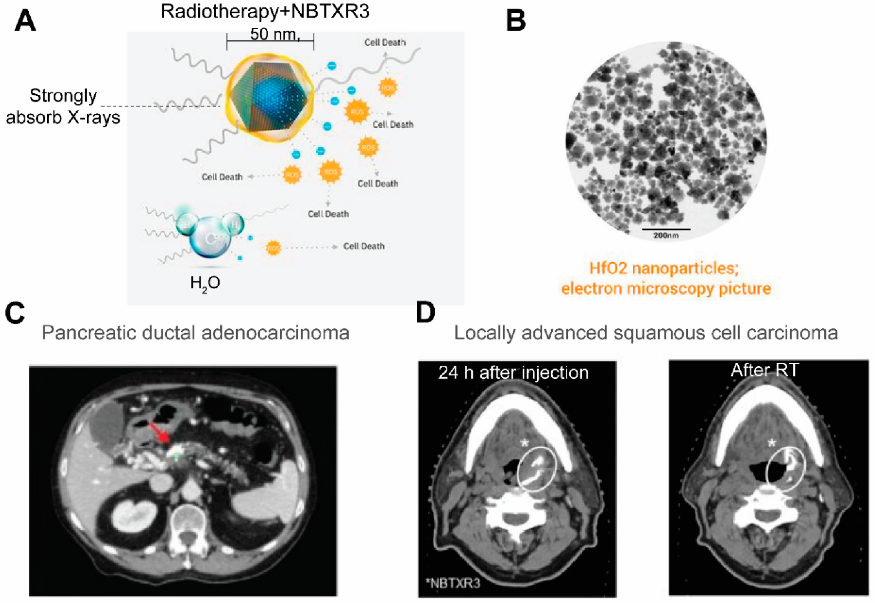 Pharmaceutics 14 00917 g007