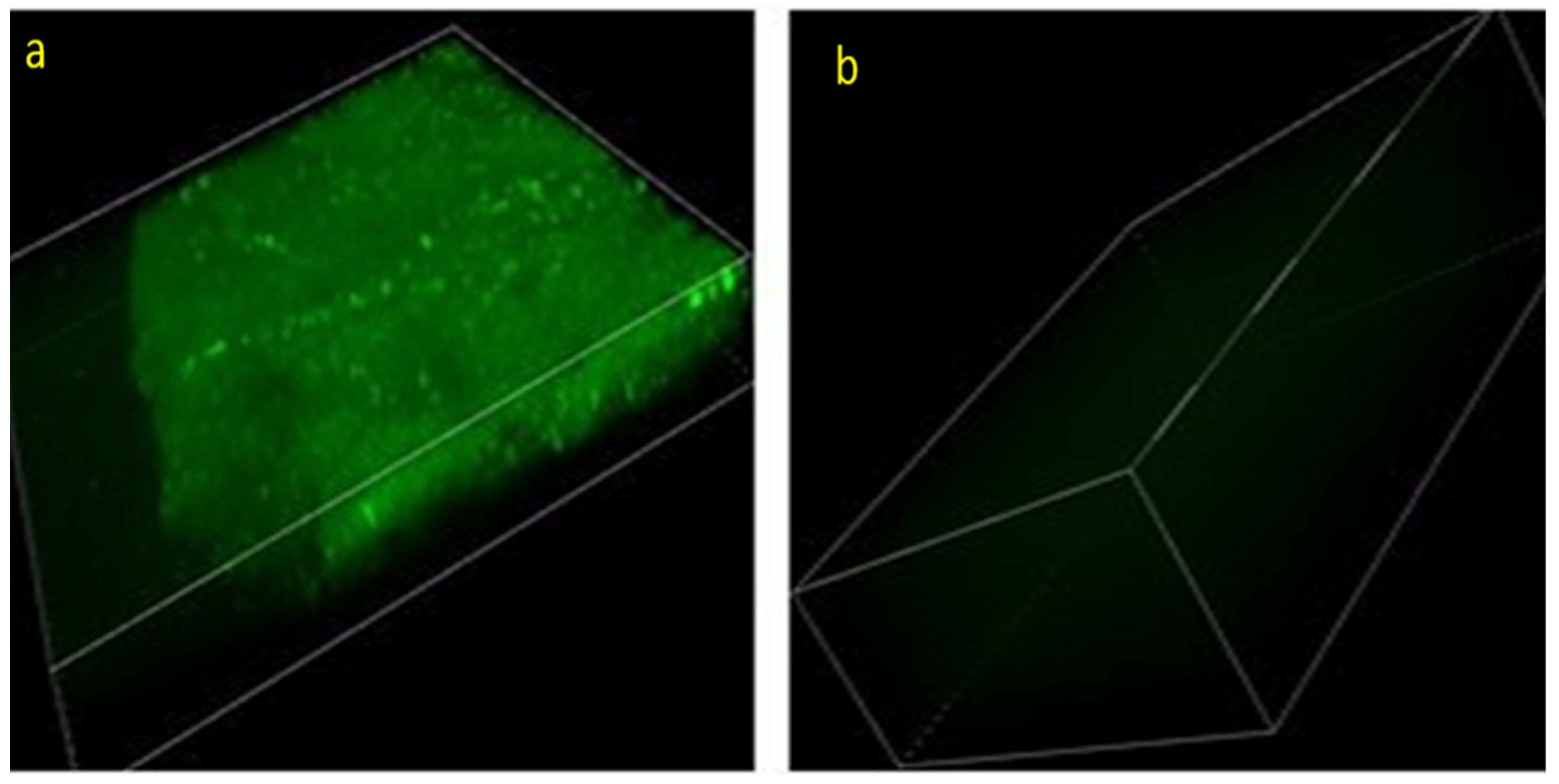 Pharmaceutics 14 00918 g001