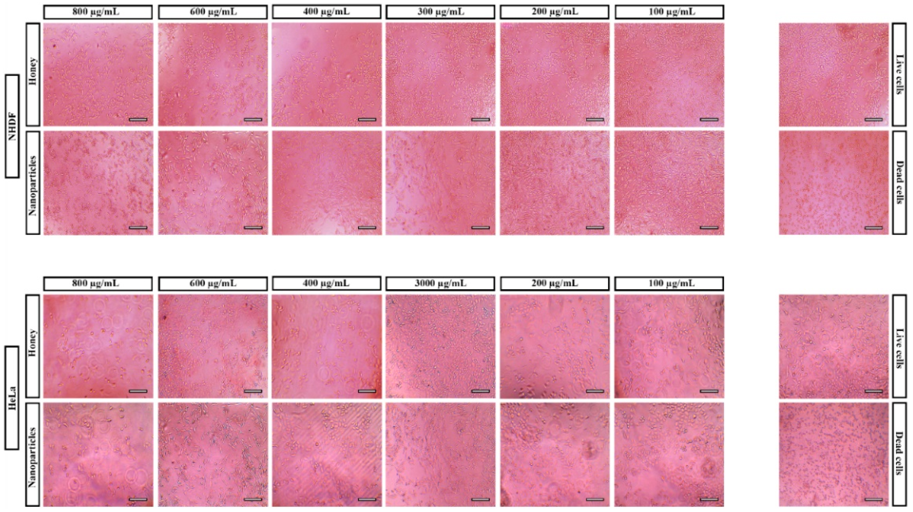 Pharmaceutics 14 00920 g006 Pharmaceutics 14 00920 g006